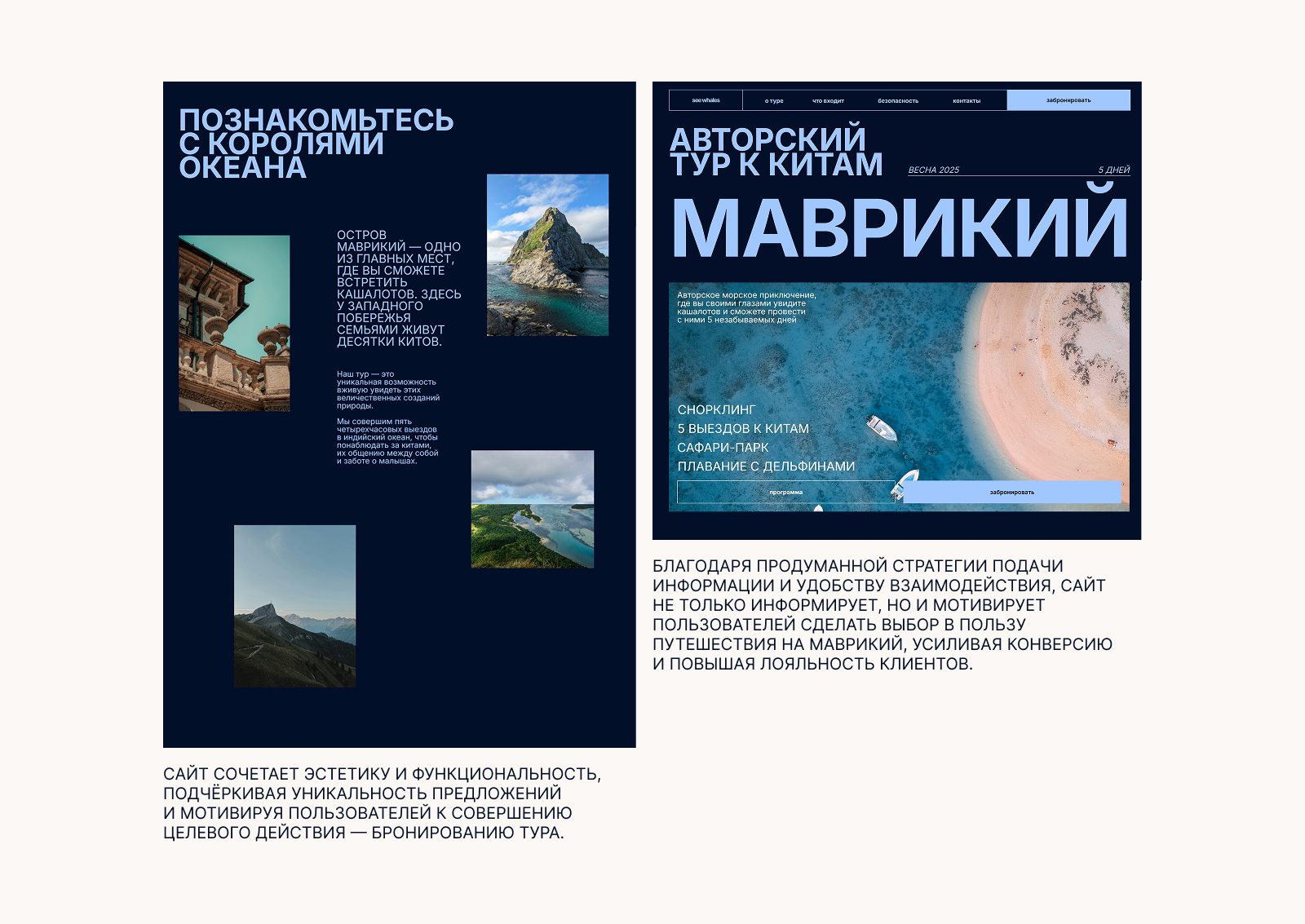 SEE WHALES — Изображение №6 — Интерфейсы, Анимация на Dprofile