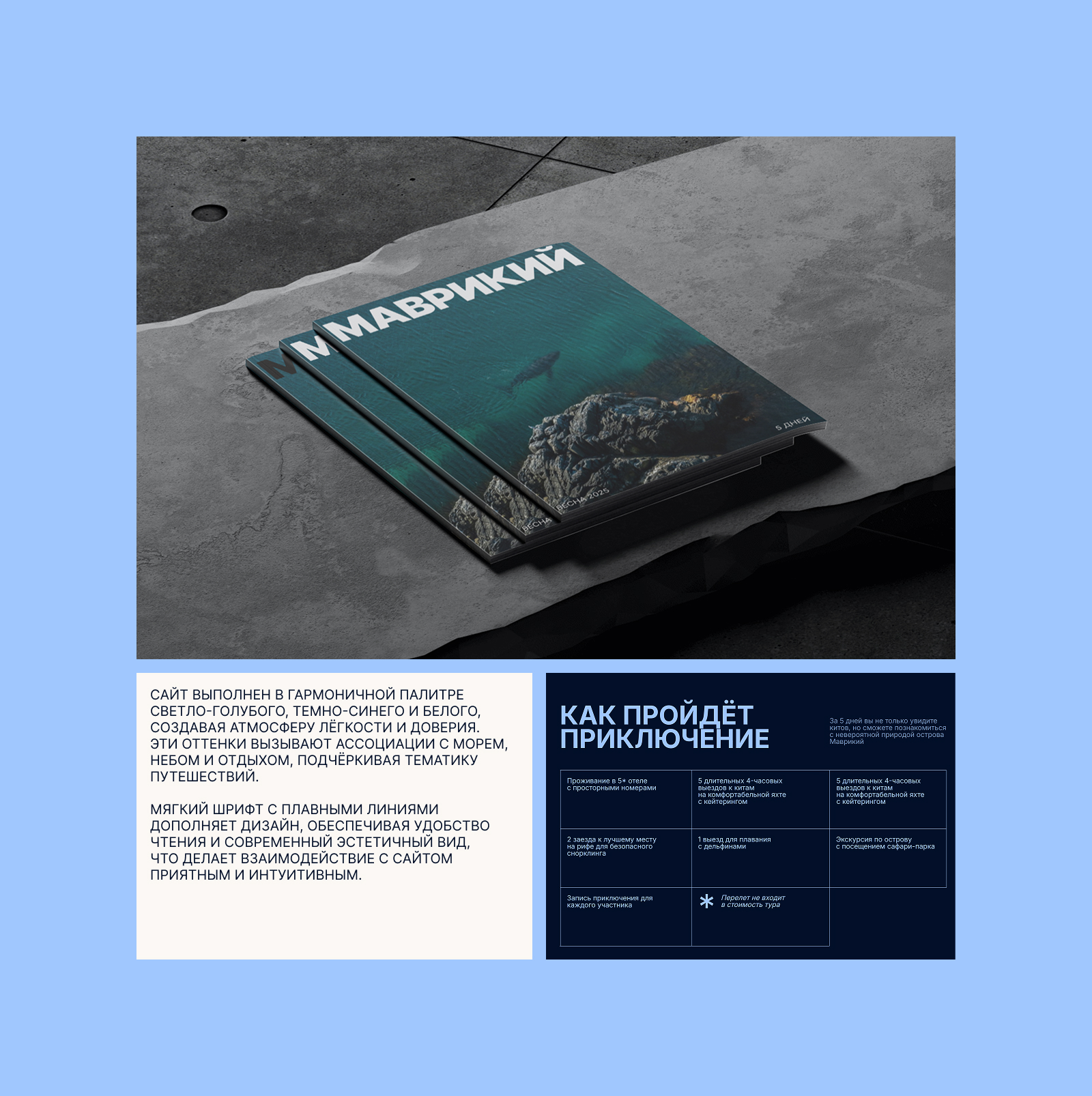 SEE WHALES — Изображение №3 — Интерфейсы, Анимация на Dprofile