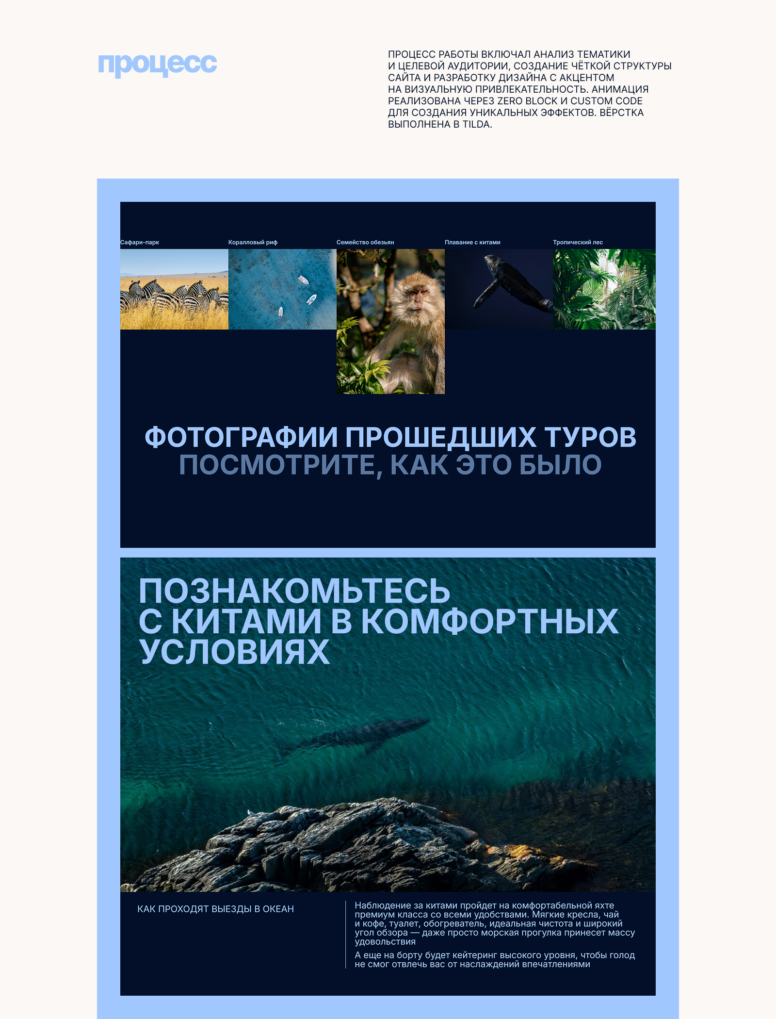 SEE WHALES — Изображение №4 — Интерфейсы, Анимация на Dprofile