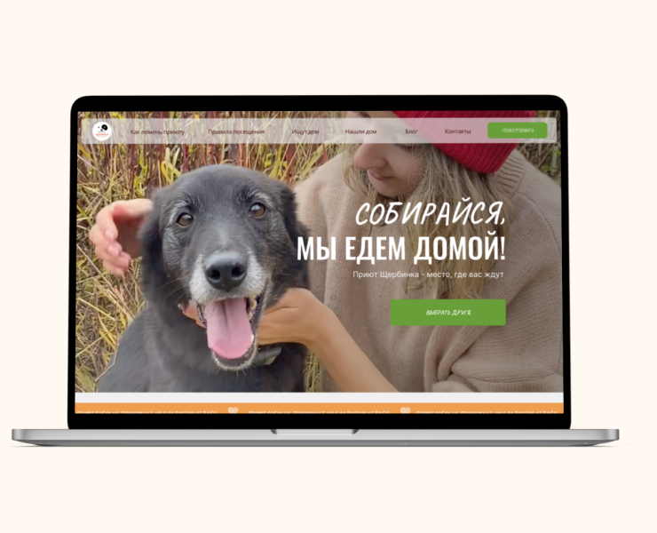 Сайт приюта для бездомных собак — Интерфейсы на Dprofile