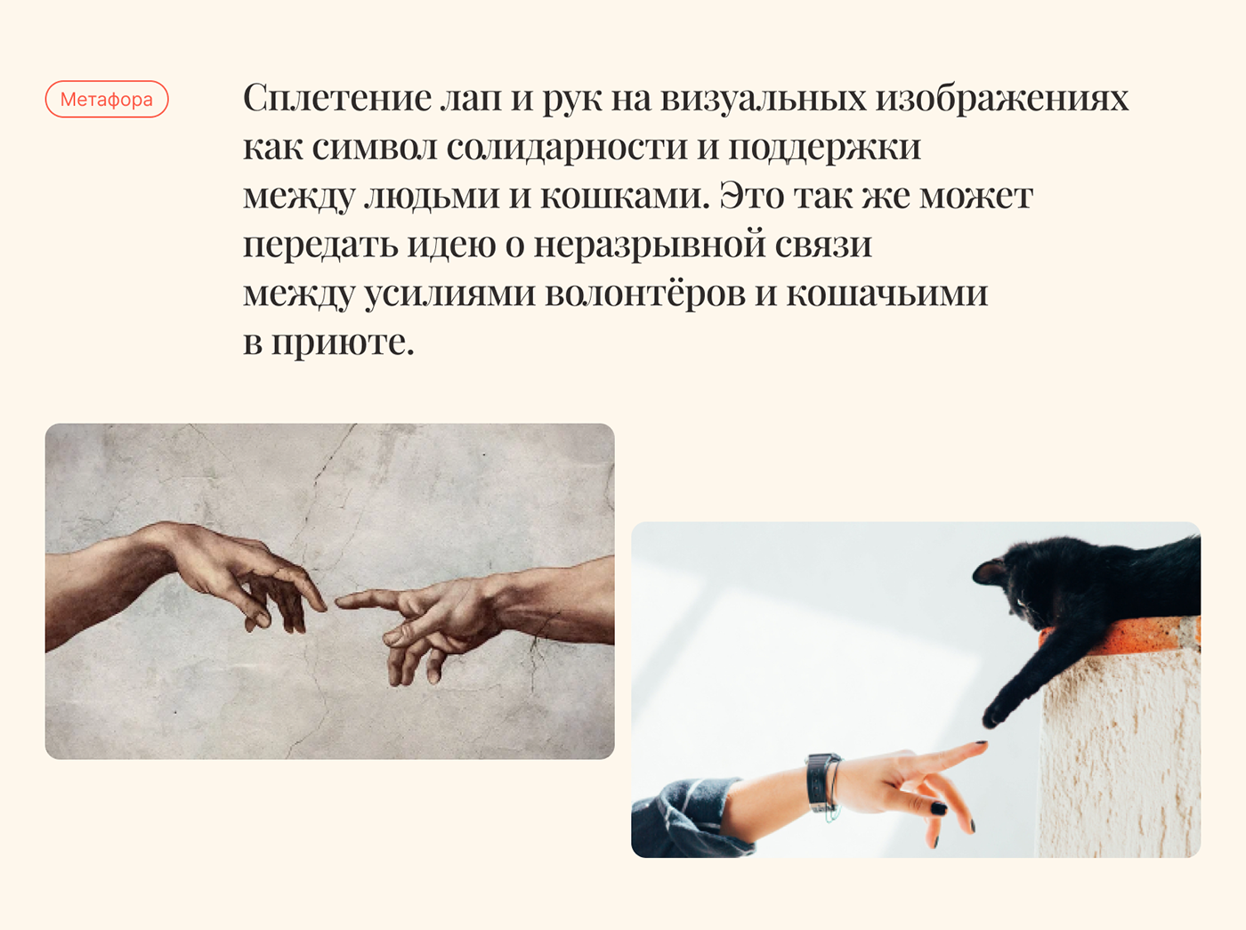 Пушистое&Уютное | Landing-page для котокафе — Изображение №3 — Интерфейсы, Иллюстрация на Dprofile