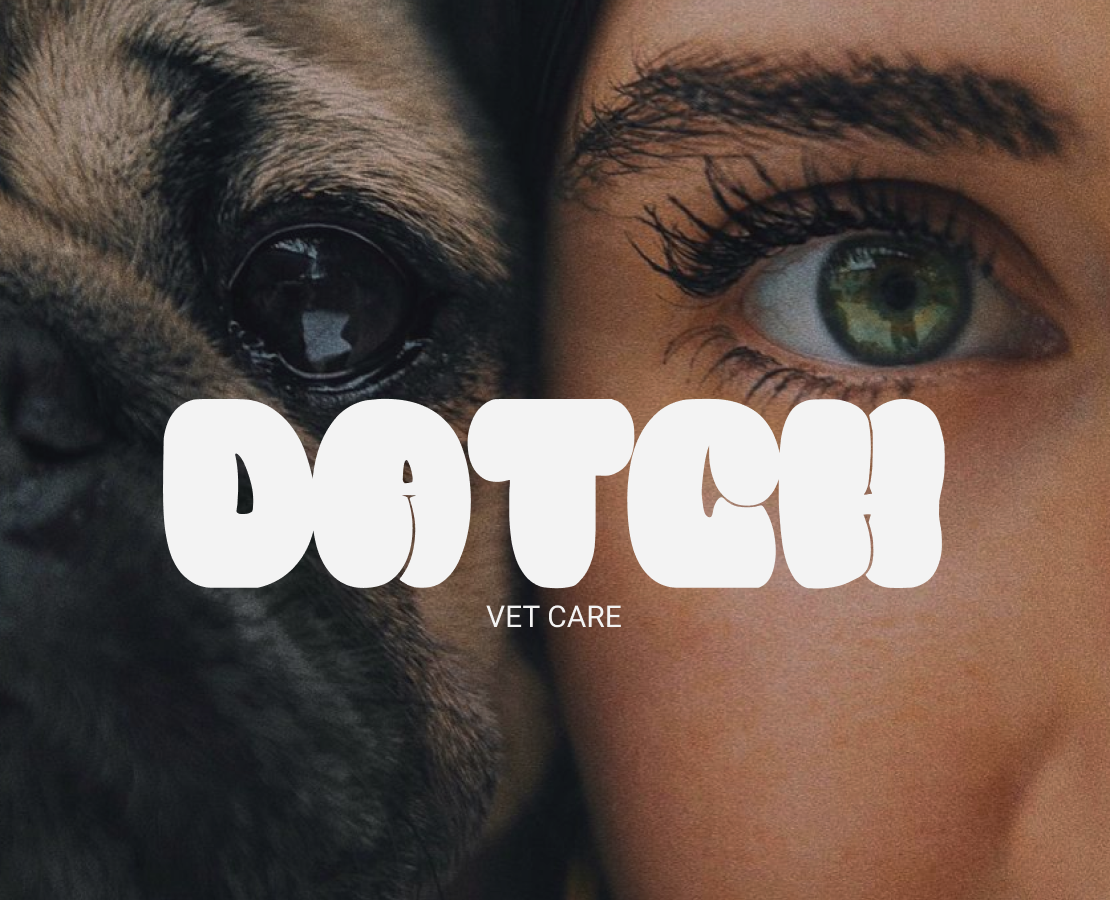 DATCH | Landing page на Dprofile