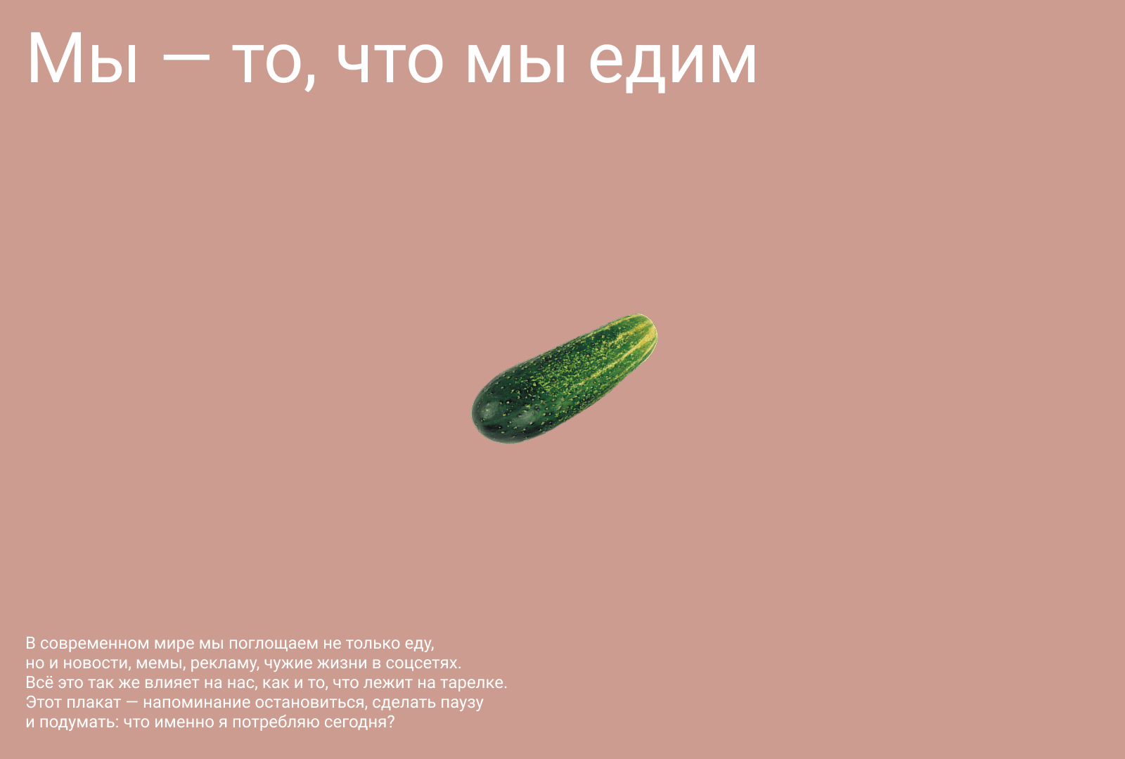 Серия плакатов «Мы — то,  что мы едим» — Изображение №13 — Брендинг, Графика на Dprofile