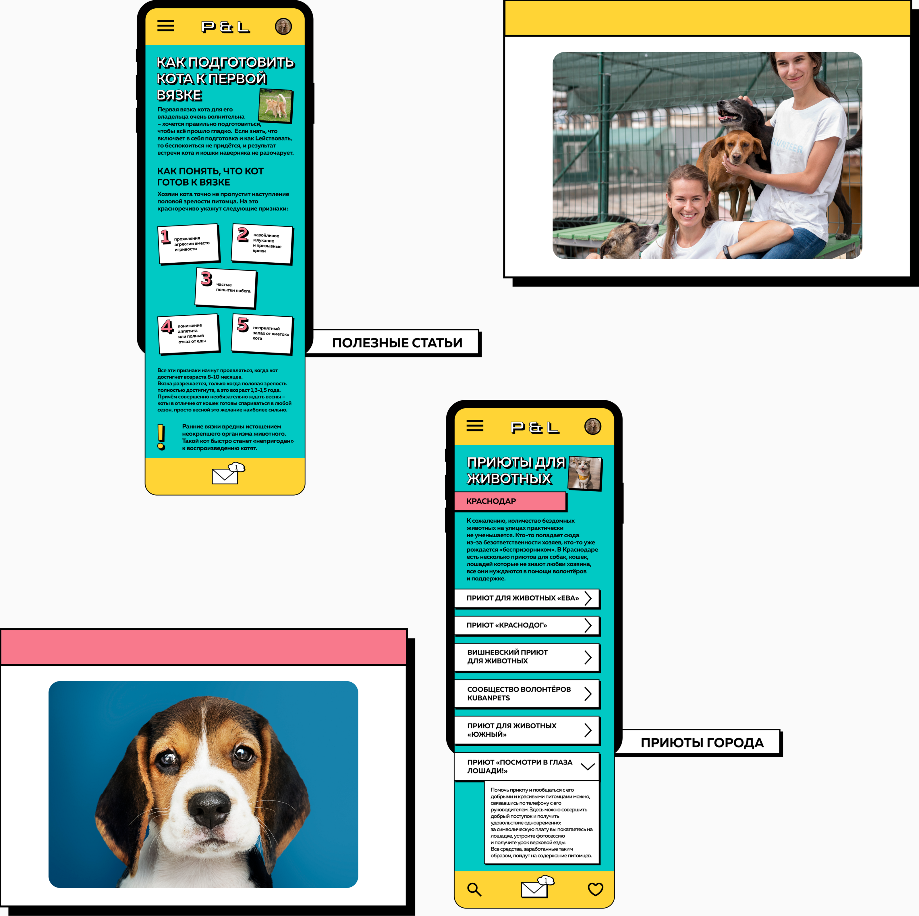 Дизайн приложения для вязки животных/Mobile application — Изображение №13 — Интерфейсы, Брендинг на Dprofile