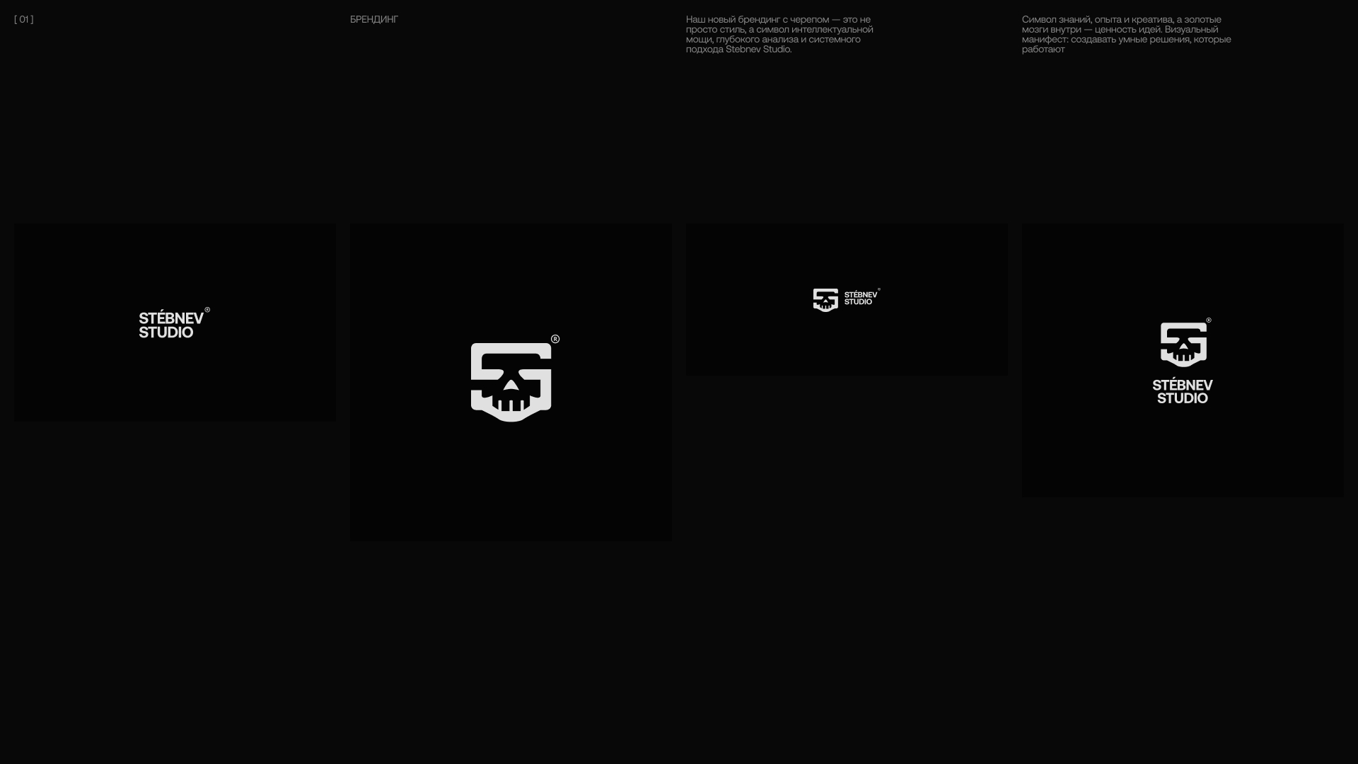 Stebnev Studio — Изображение №2 — Интерфейсы, Брендинг на Dprofile