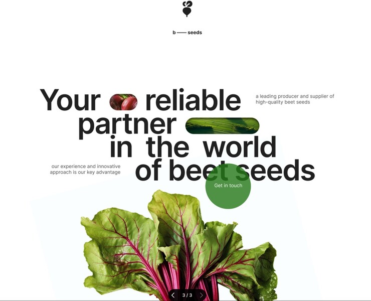 b — seeds (the concept) — Интерфейсы, Брендинг на Dprofile