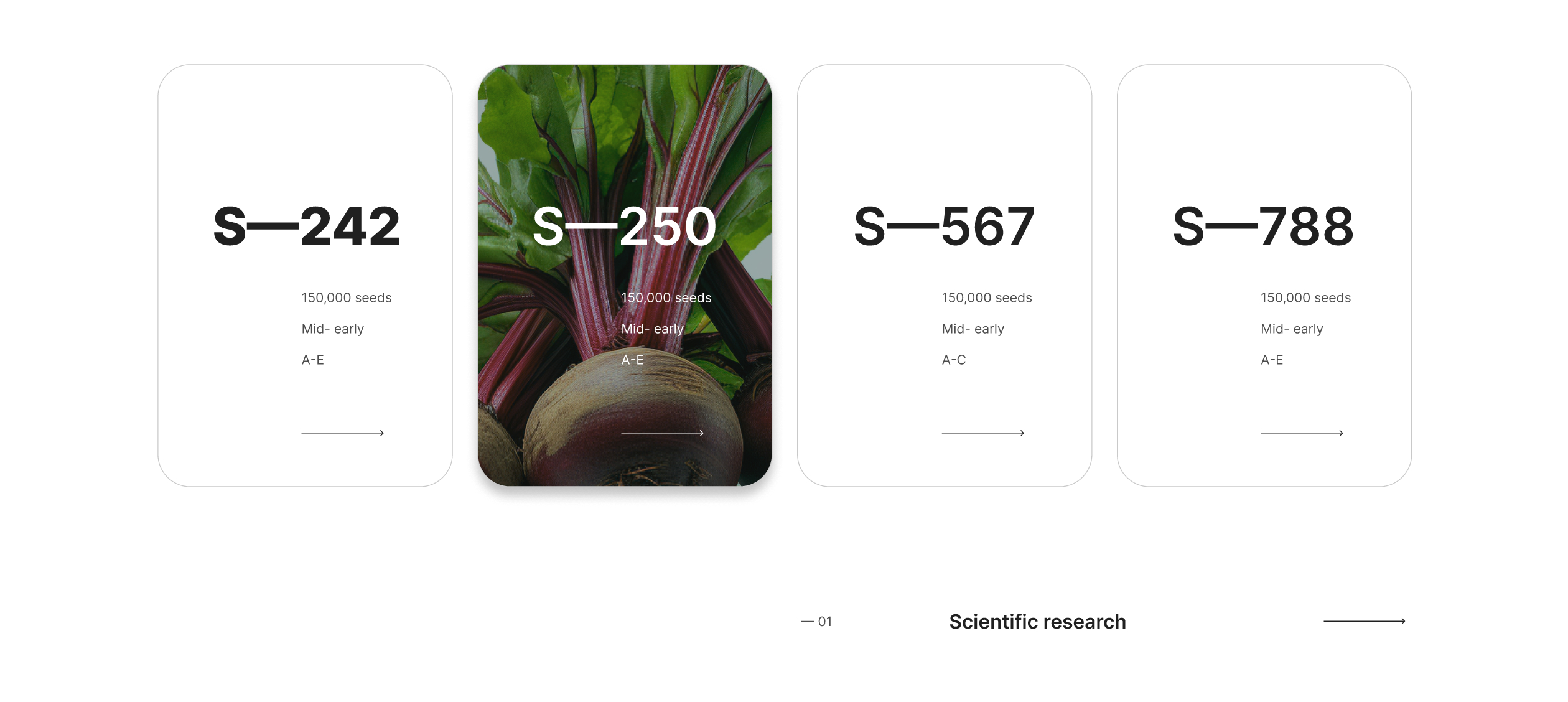 b — seeds (the concept) — Изображение №7 — Интерфейсы, Брендинг на Dprofile