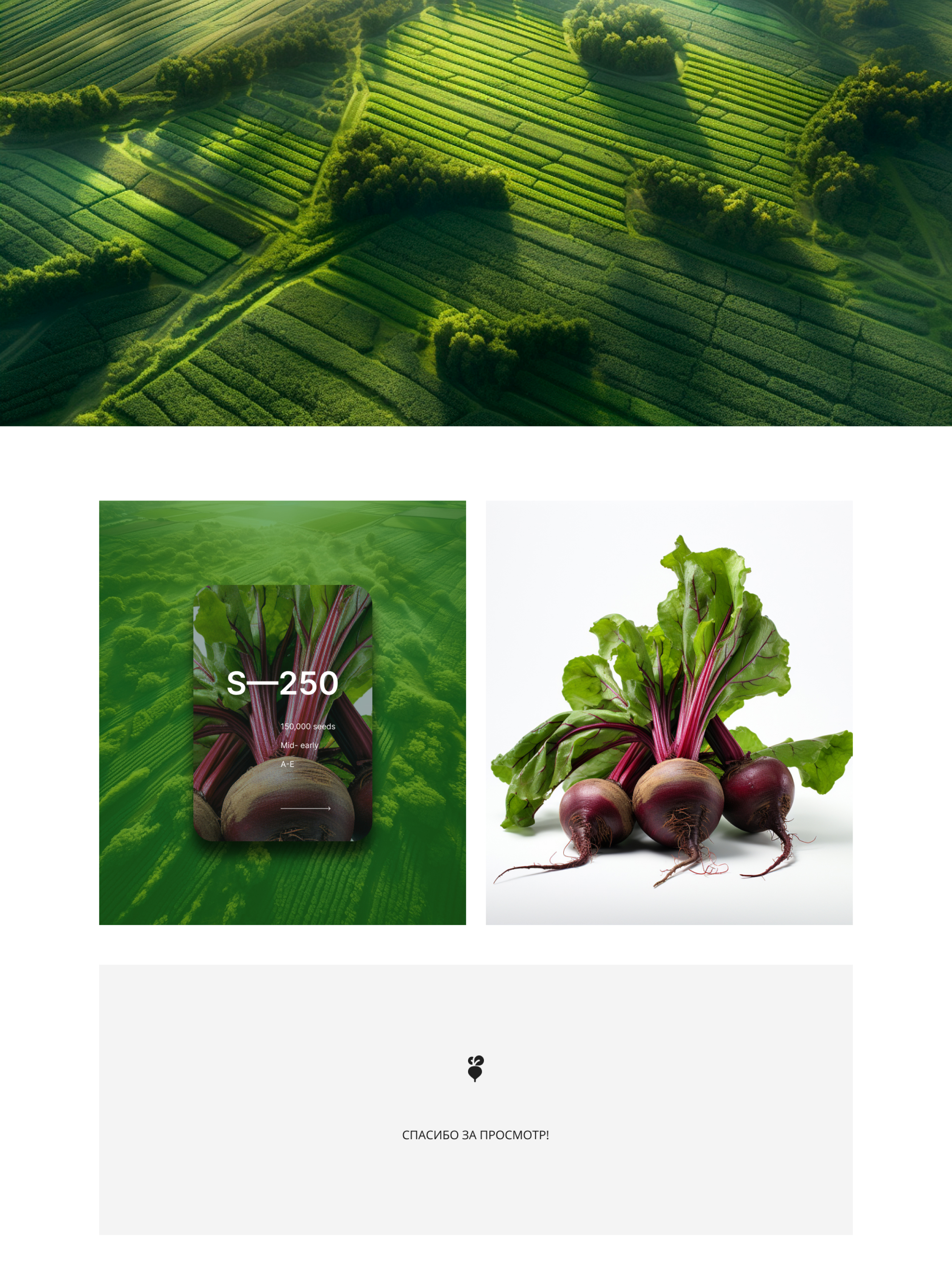 b — seeds (the concept) — Изображение №12 — Интерфейсы, Брендинг на Dprofile