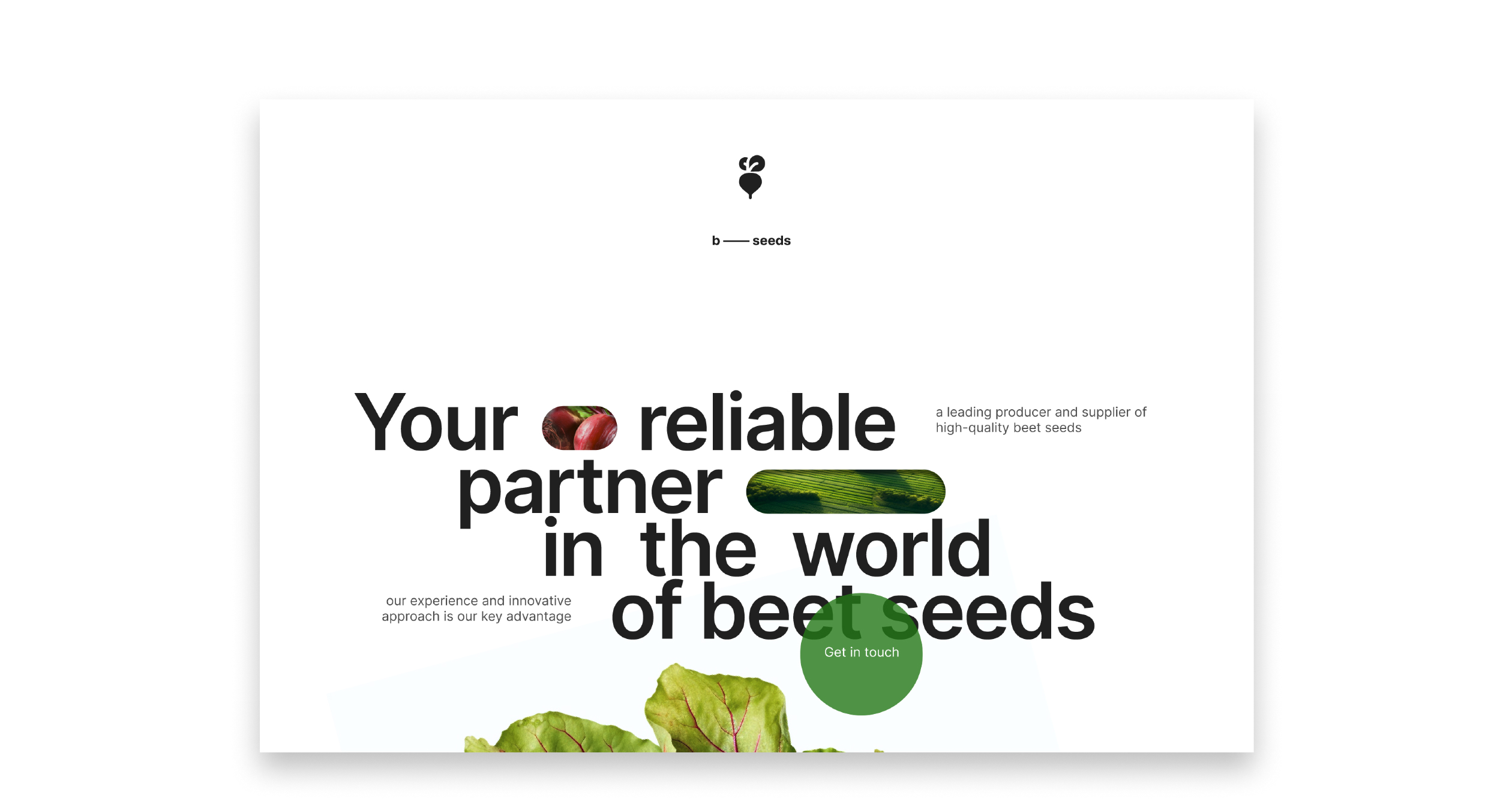 b — seeds (the concept) — Изображение №9 — Интерфейсы, Брендинг на Dprofile