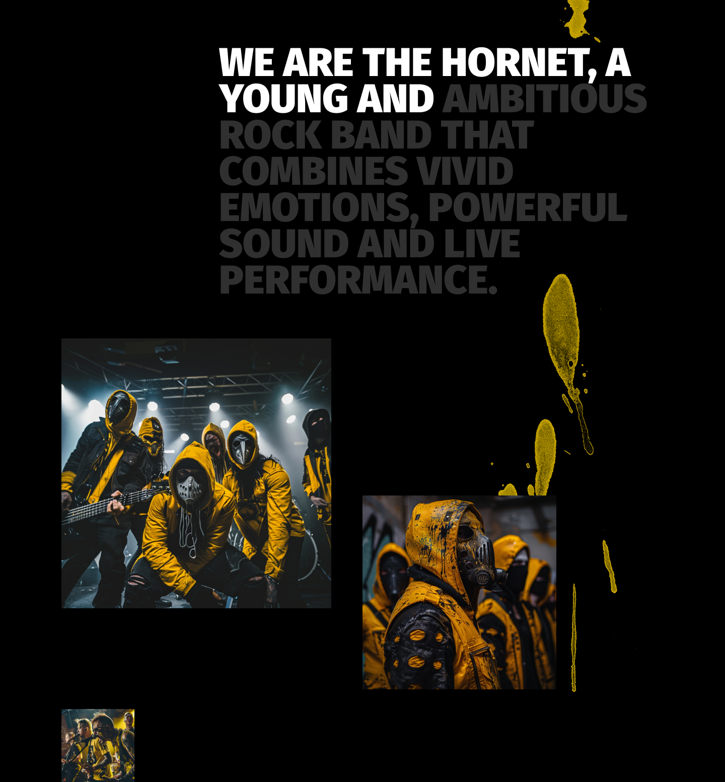 Концепт сайта рок группы HORNET — Изображение №2 — Интерфейсы, Брендинг на Dprofile