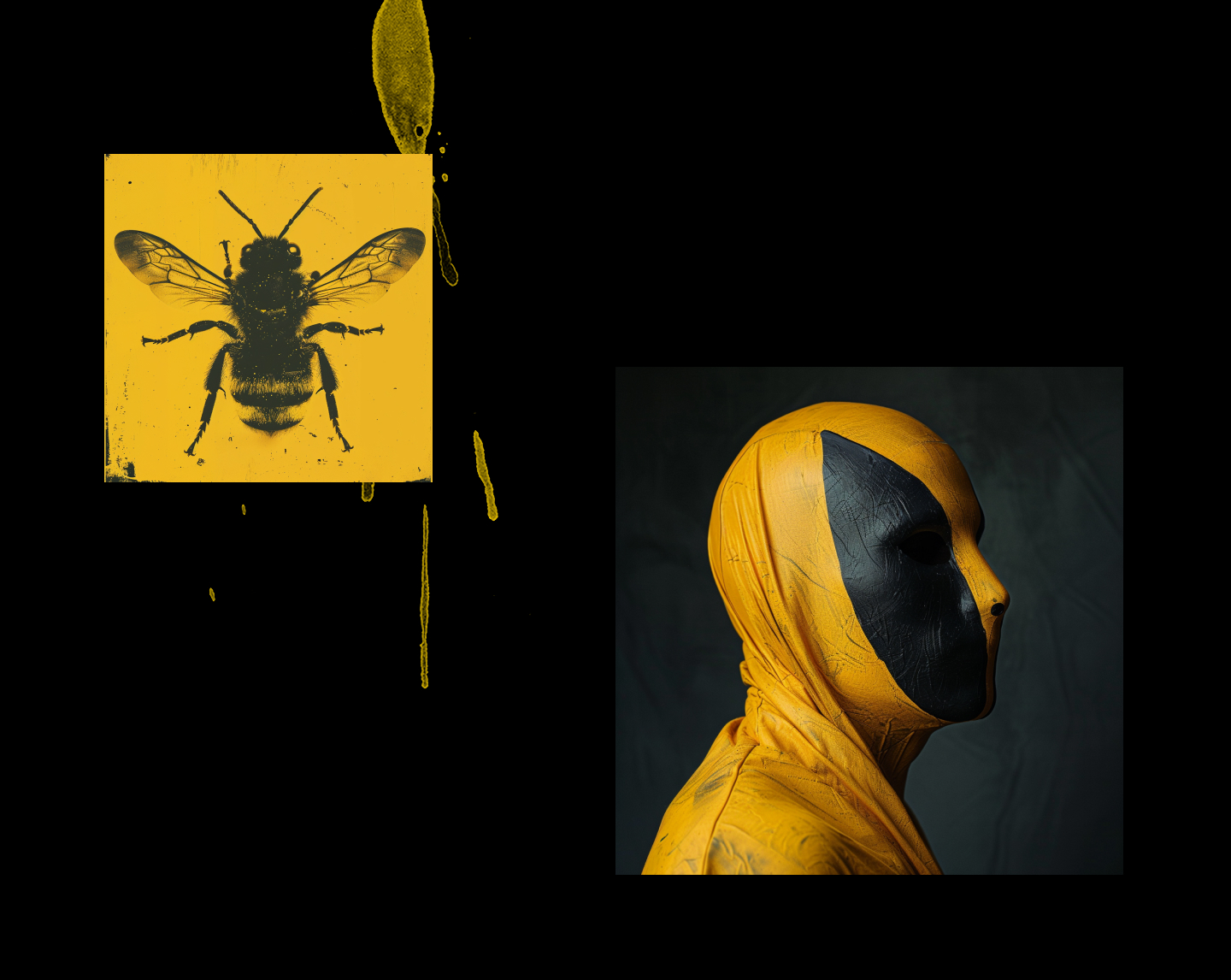 Концепт сайта рок группы HORNET — Изображение №12 — Интерфейсы, Брендинг на Dprofile