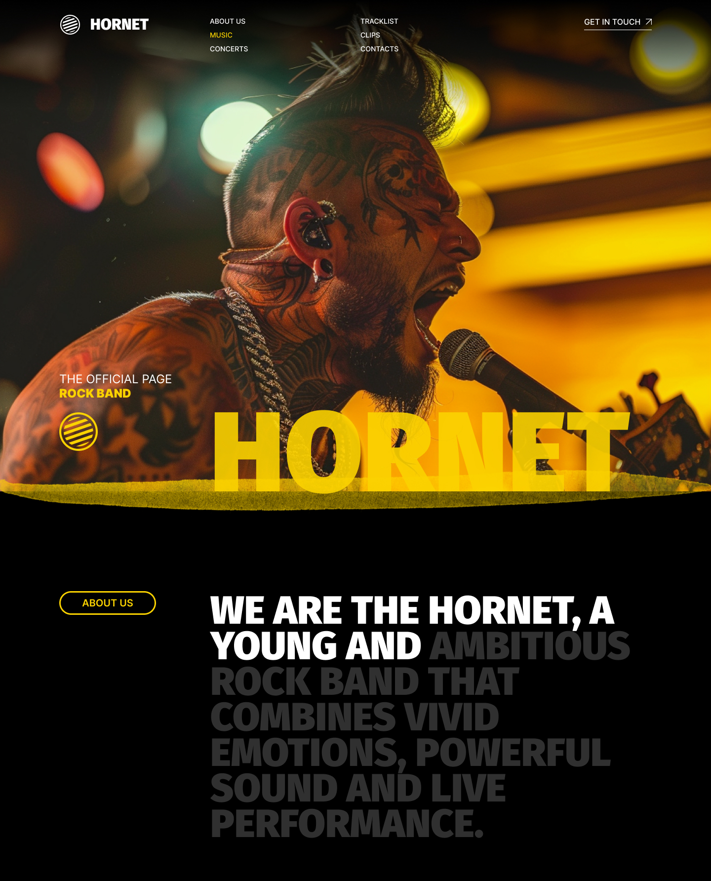 Концепт сайта рок группы HORNET — Изображение №5 — Интерфейсы, Брендинг на Dprofile