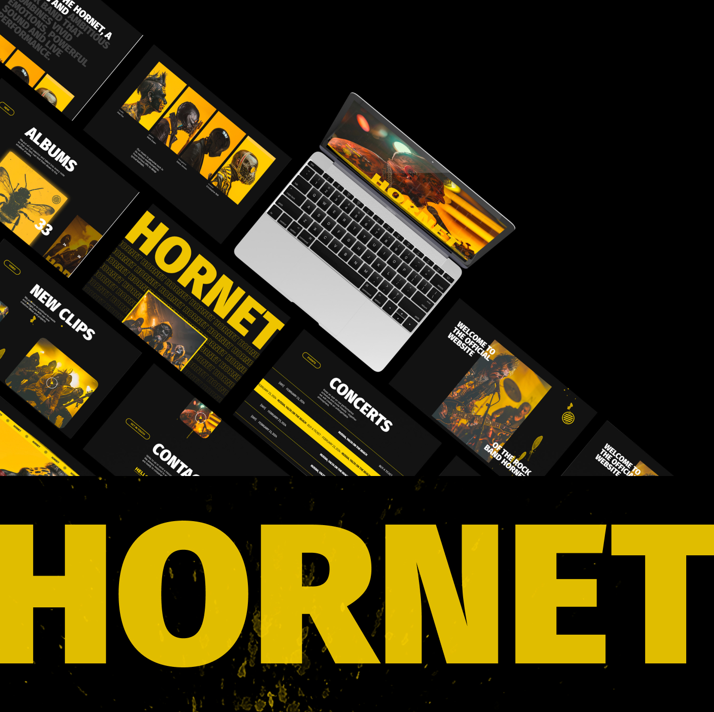 Концепт сайта рок группы HORNET — Изображение №4 — Интерфейсы, Брендинг на Dprofile