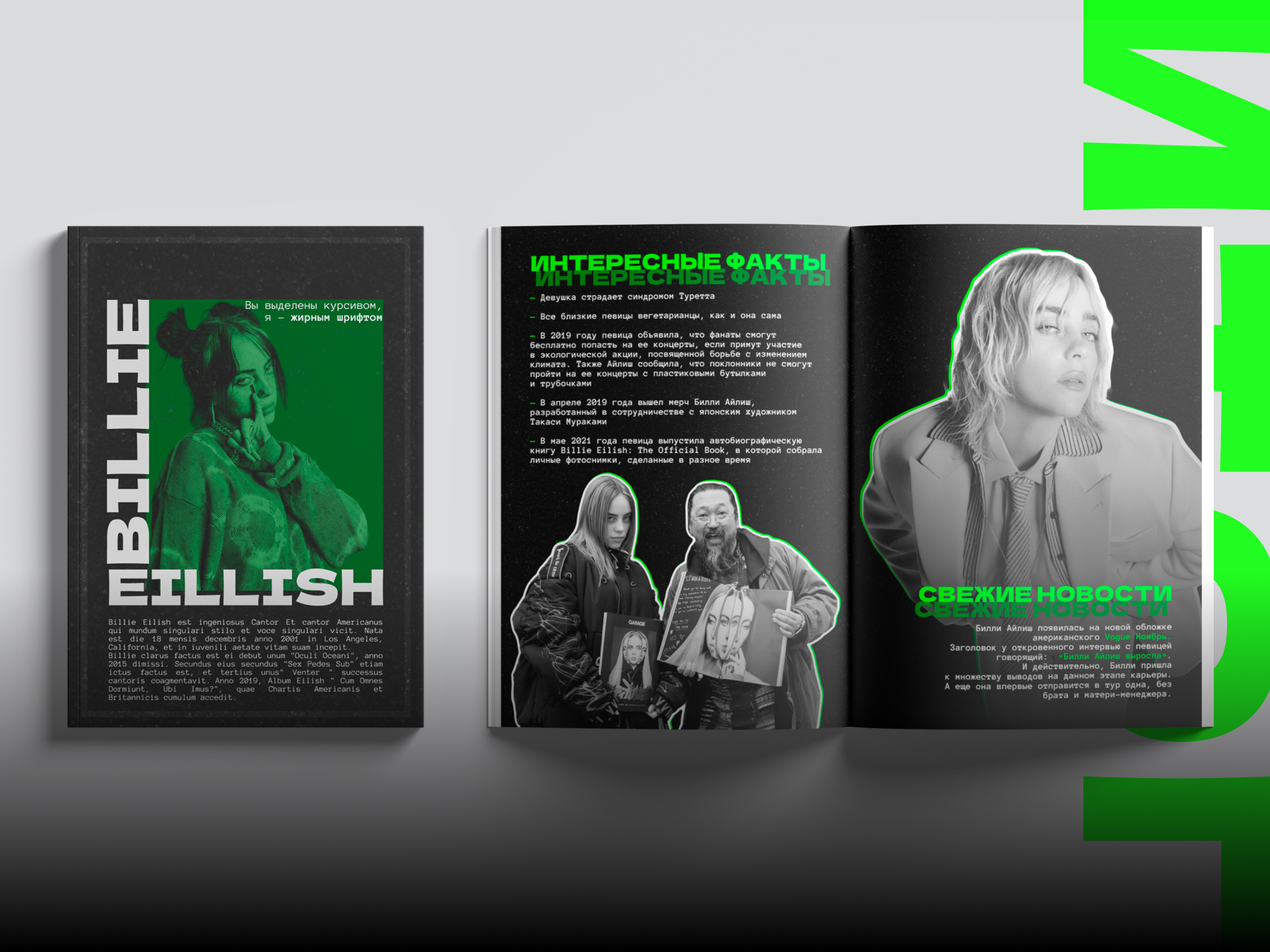MAGAZINE | ДИЗАЙН ЖУРНАЛА | BILLIE EILISH — Изображение №13 — Графика на Dprofile