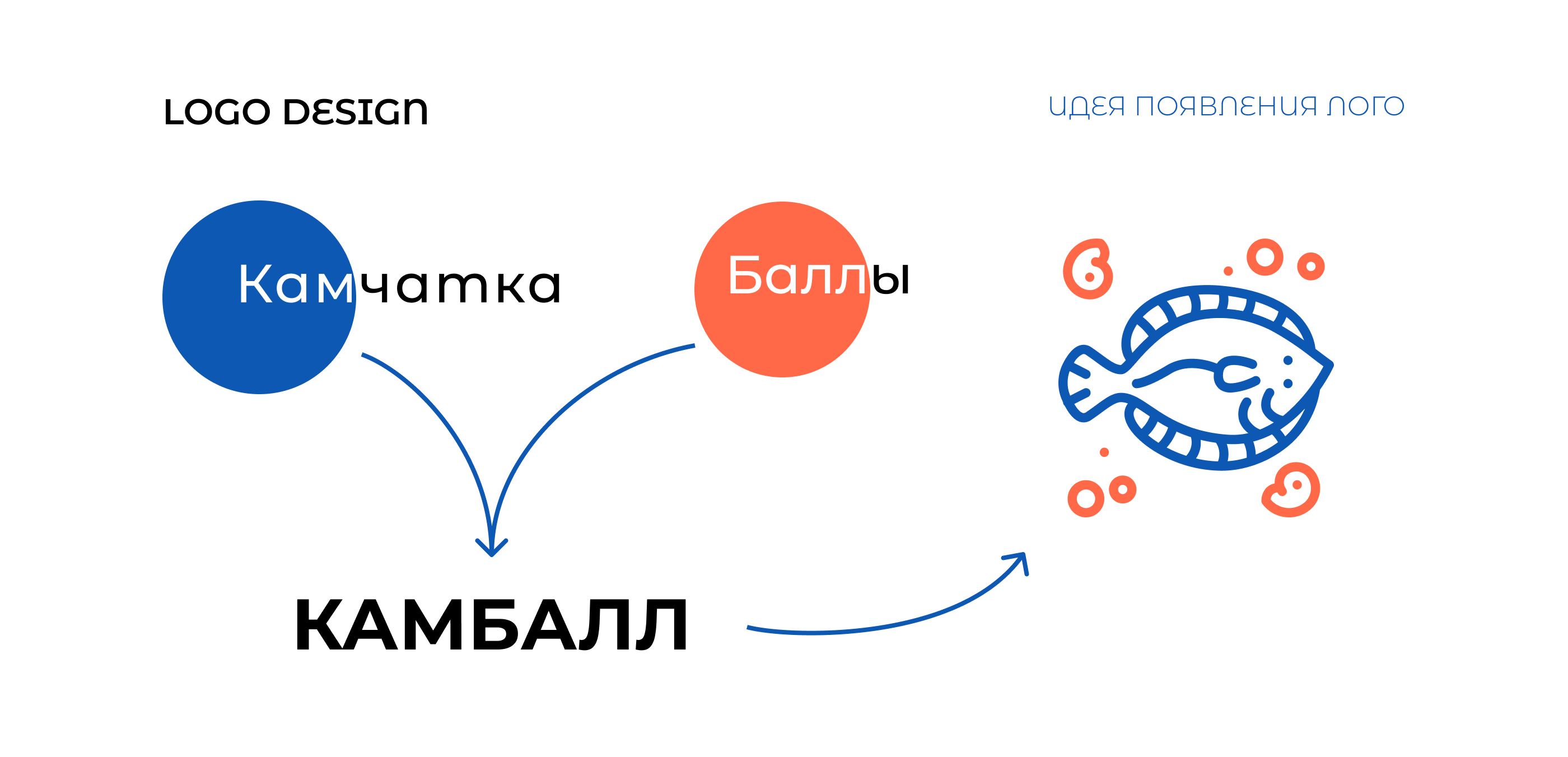 Социальный проект Kamball — Изображение №9 — Интерфейсы, Брендинг на Dprofile