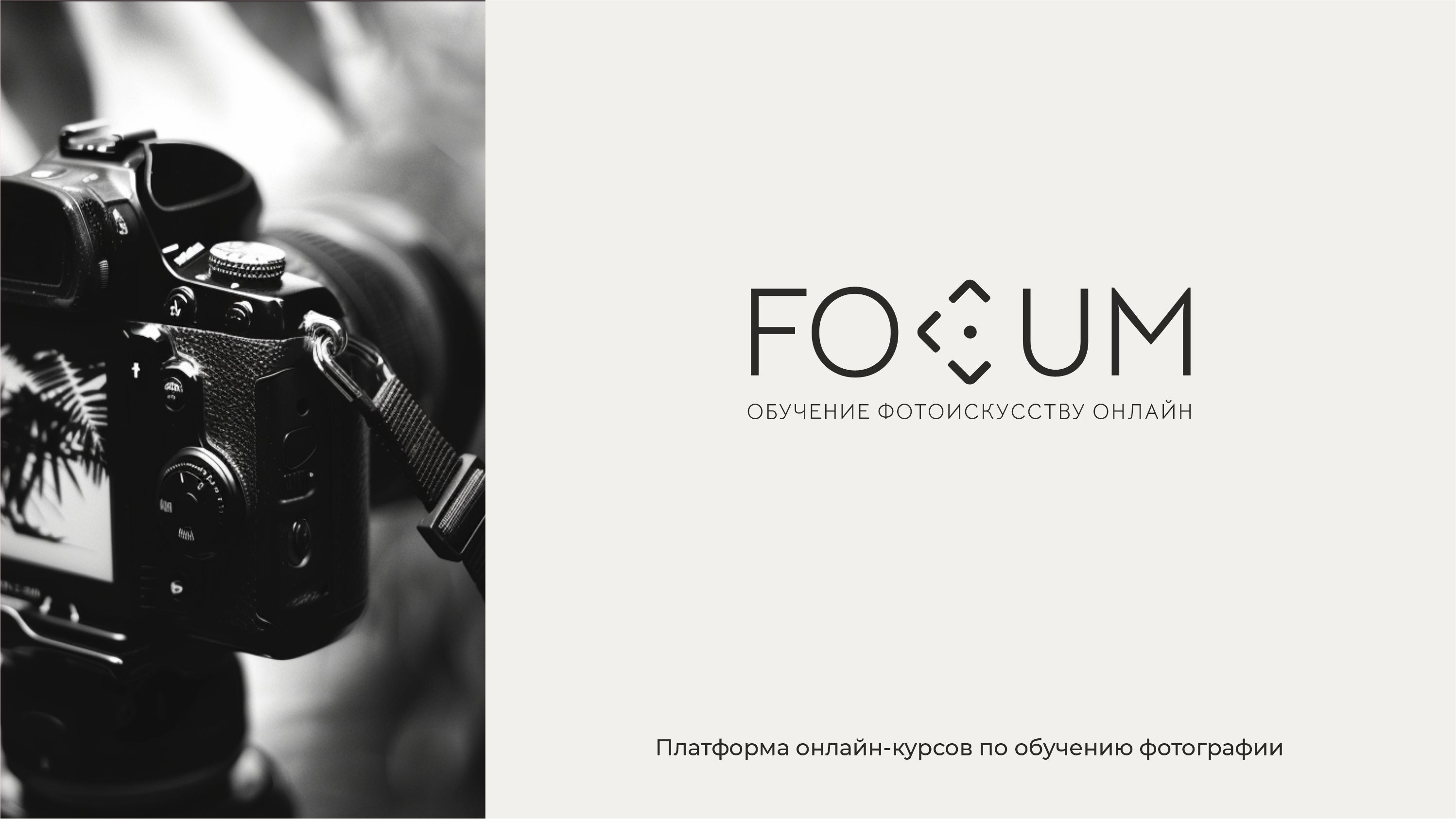 Logofolio 2024 — Изображение №6 — Брендинг на Dprofile