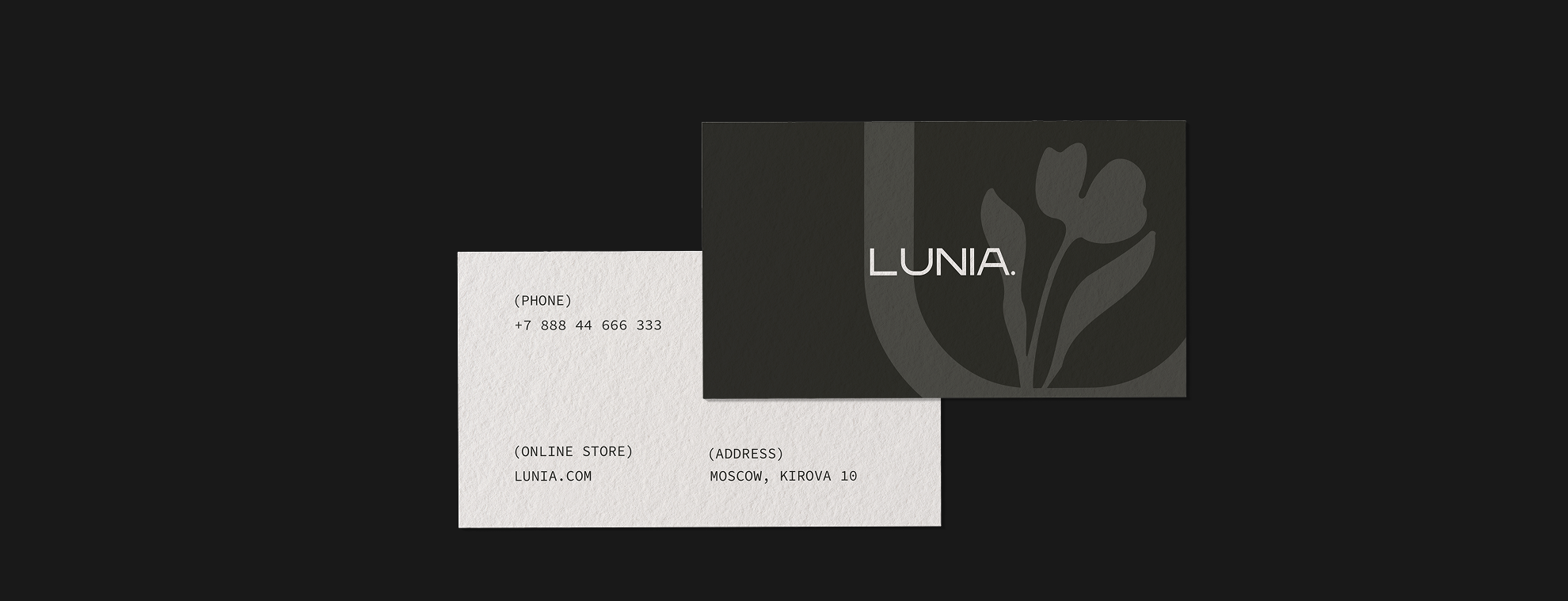 LUNIA - красота в простоте — Изображение №6 — Брендинг на Dprofile