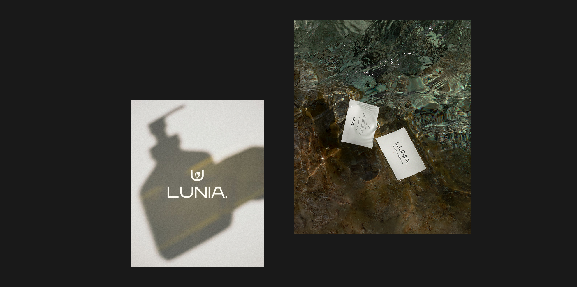 LUNIA - красота в простоте — Изображение №15 — Брендинг на Dprofile