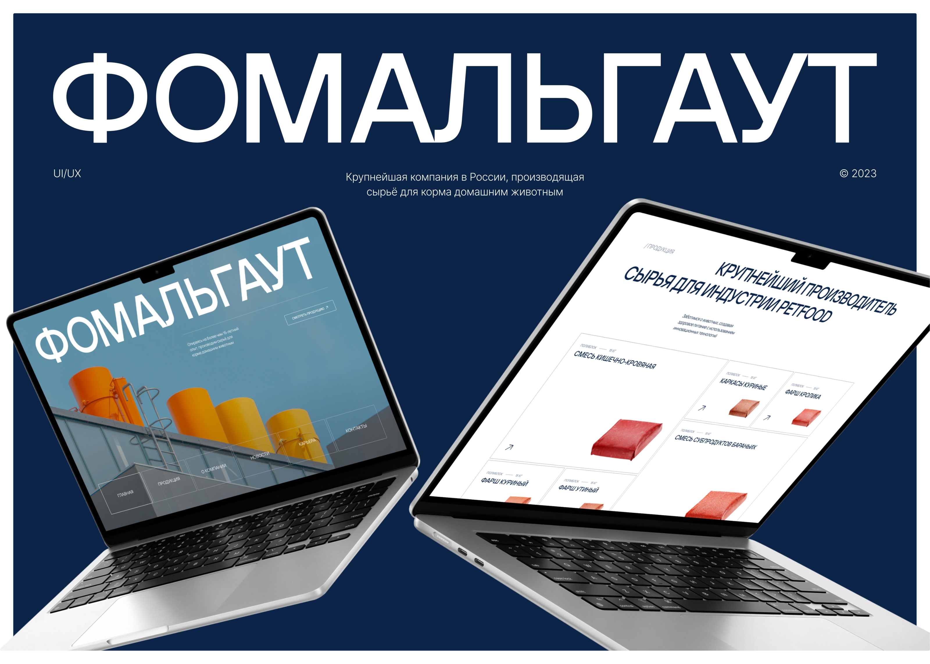 Фомальгаут: корпоративный сайт — Изображение №1 — Интерфейсы на Dprofile