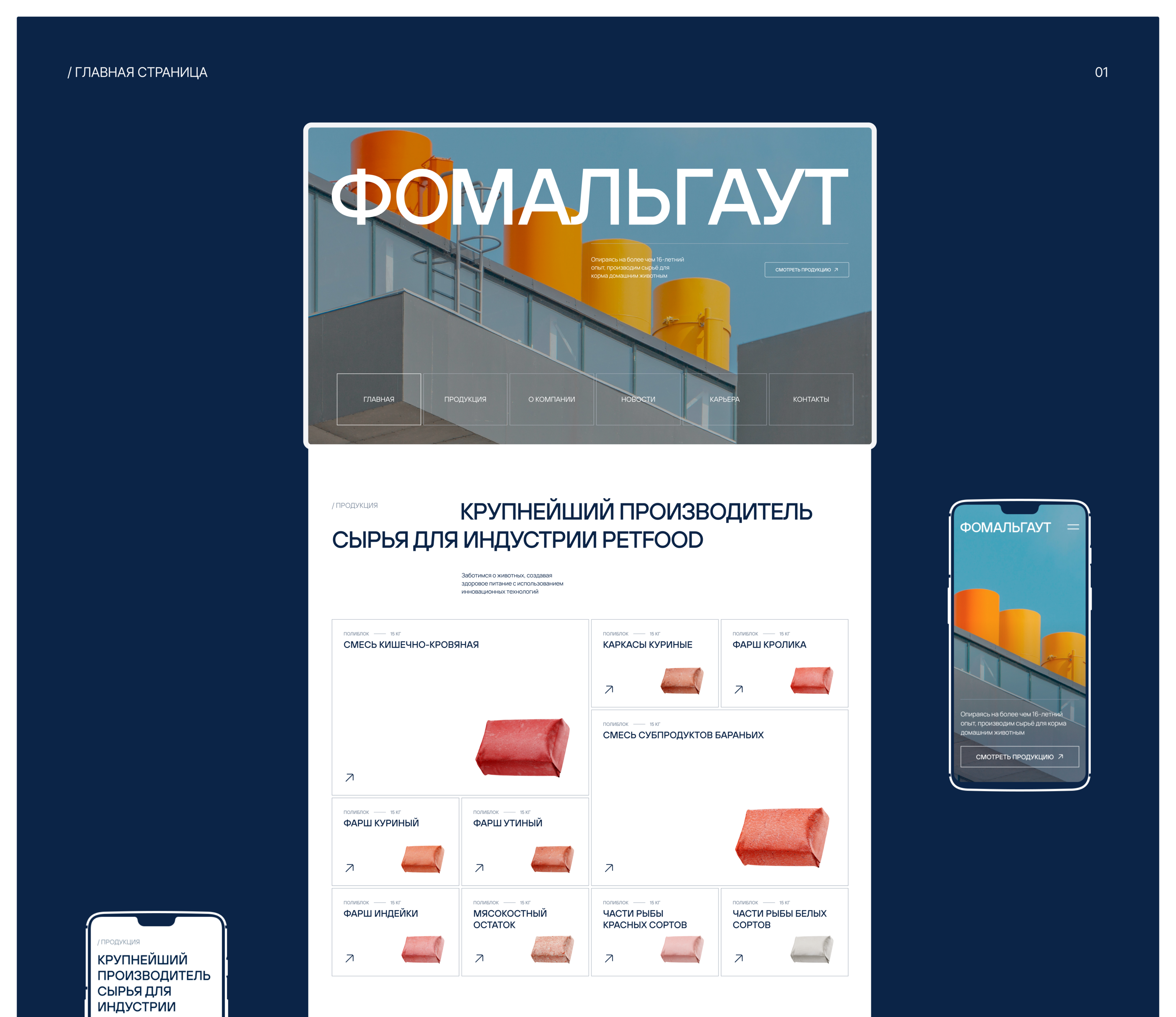 Фомальгаут: корпоративный сайт — Изображение №3 — Интерфейсы на Dprofile