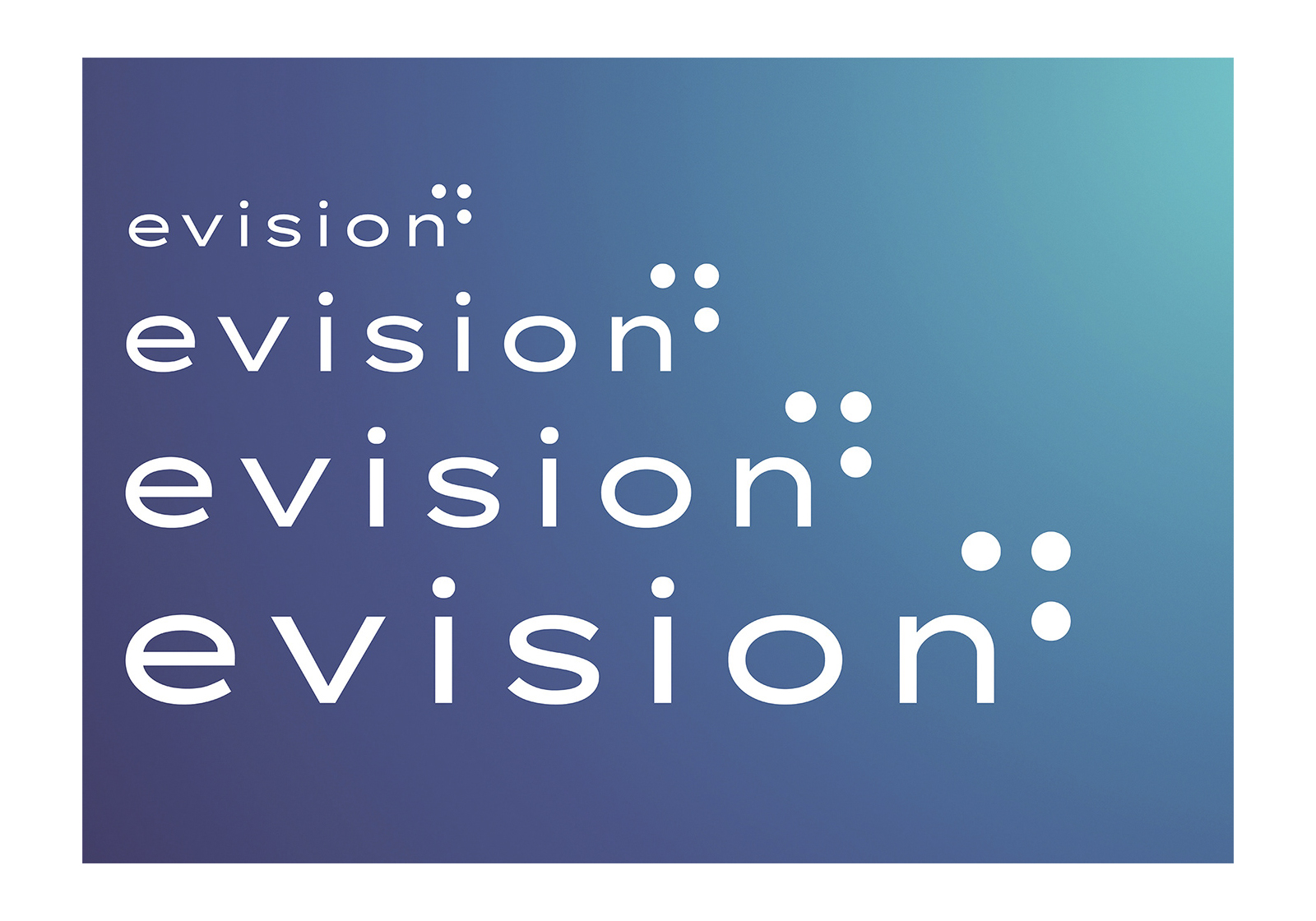 evision — Изображение №1 — Брендинг на Dprofile