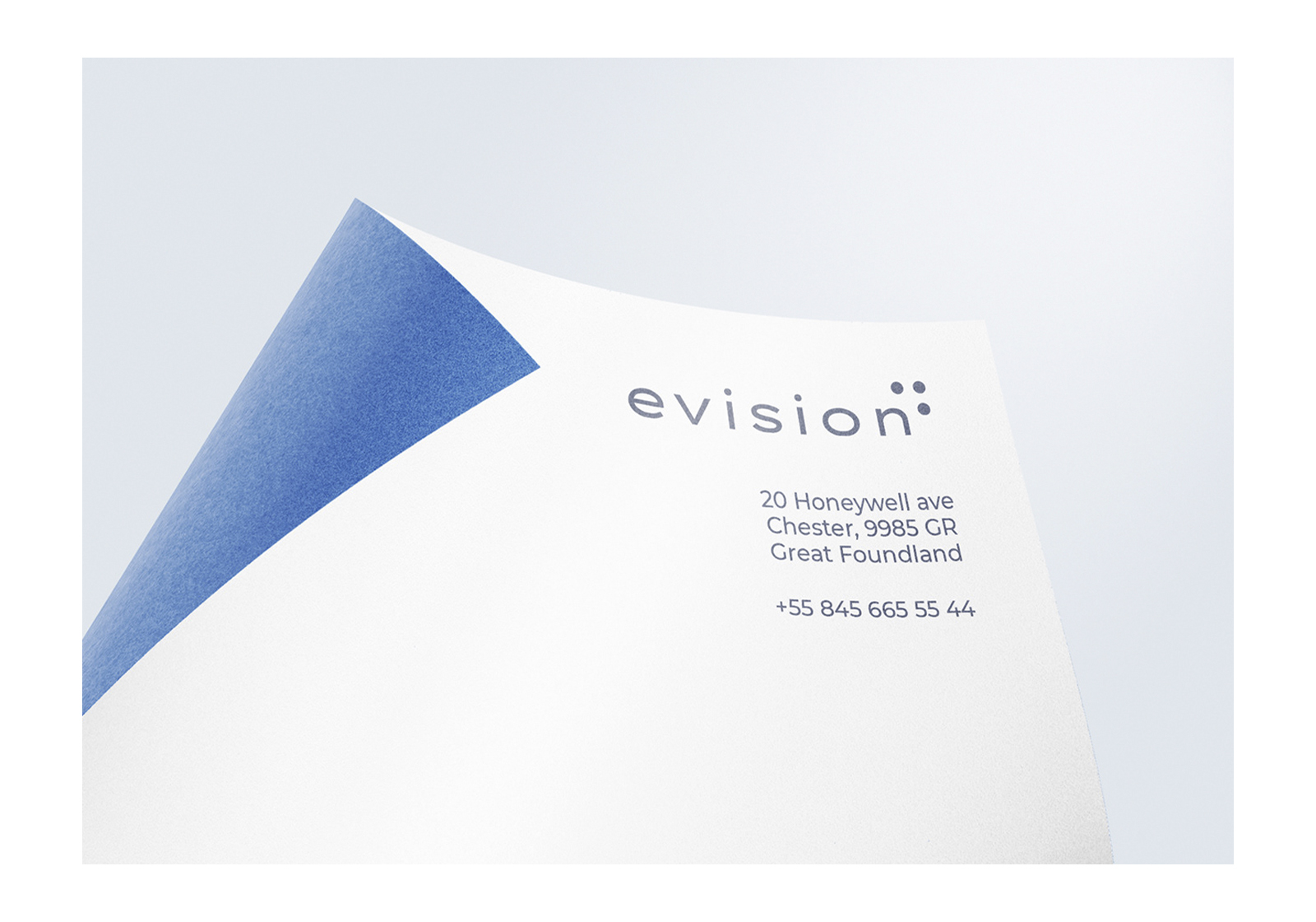 evision — Изображение №4 — Брендинг на Dprofile