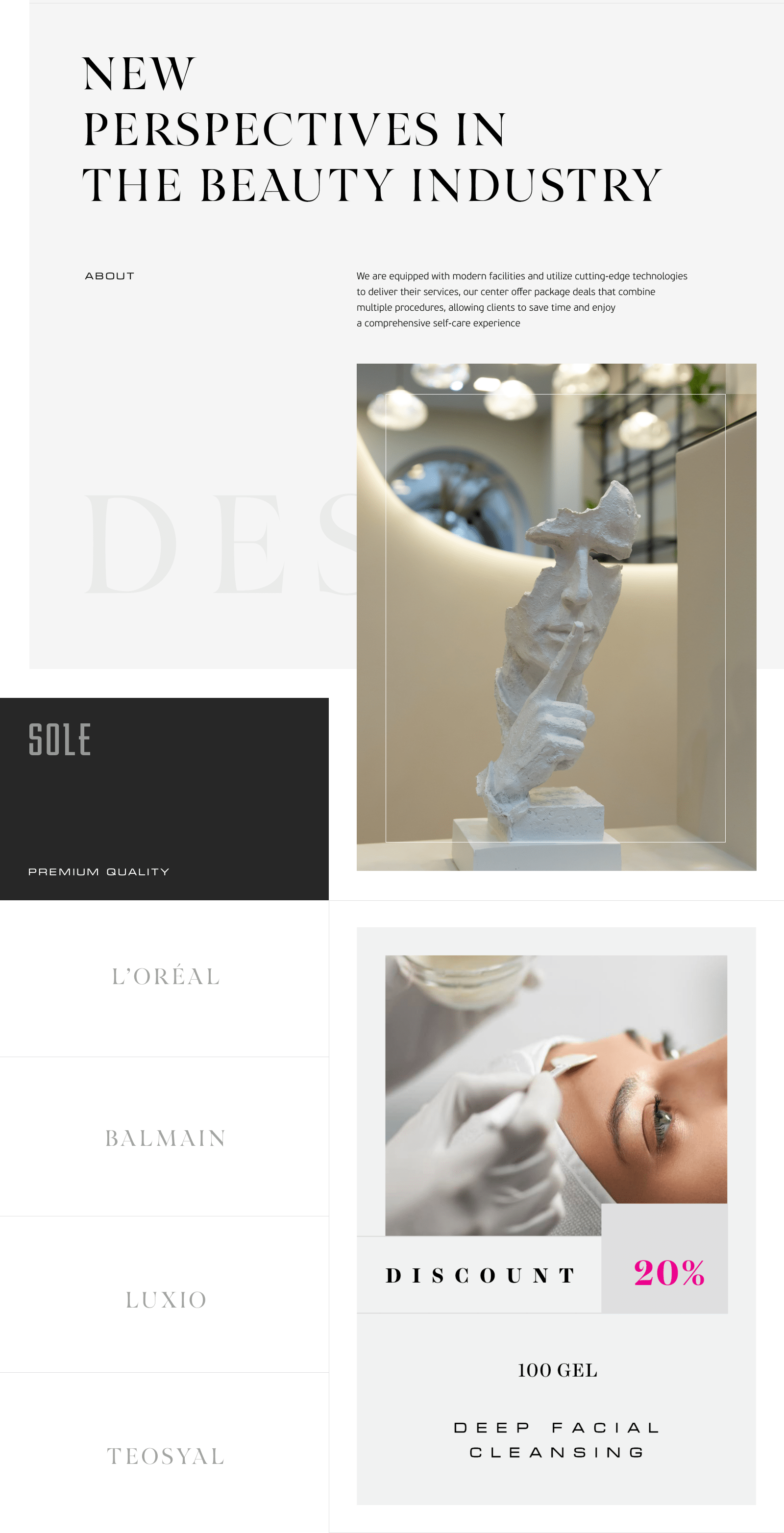 SOLE — Изображение №2 — Брендинг на Dprofile