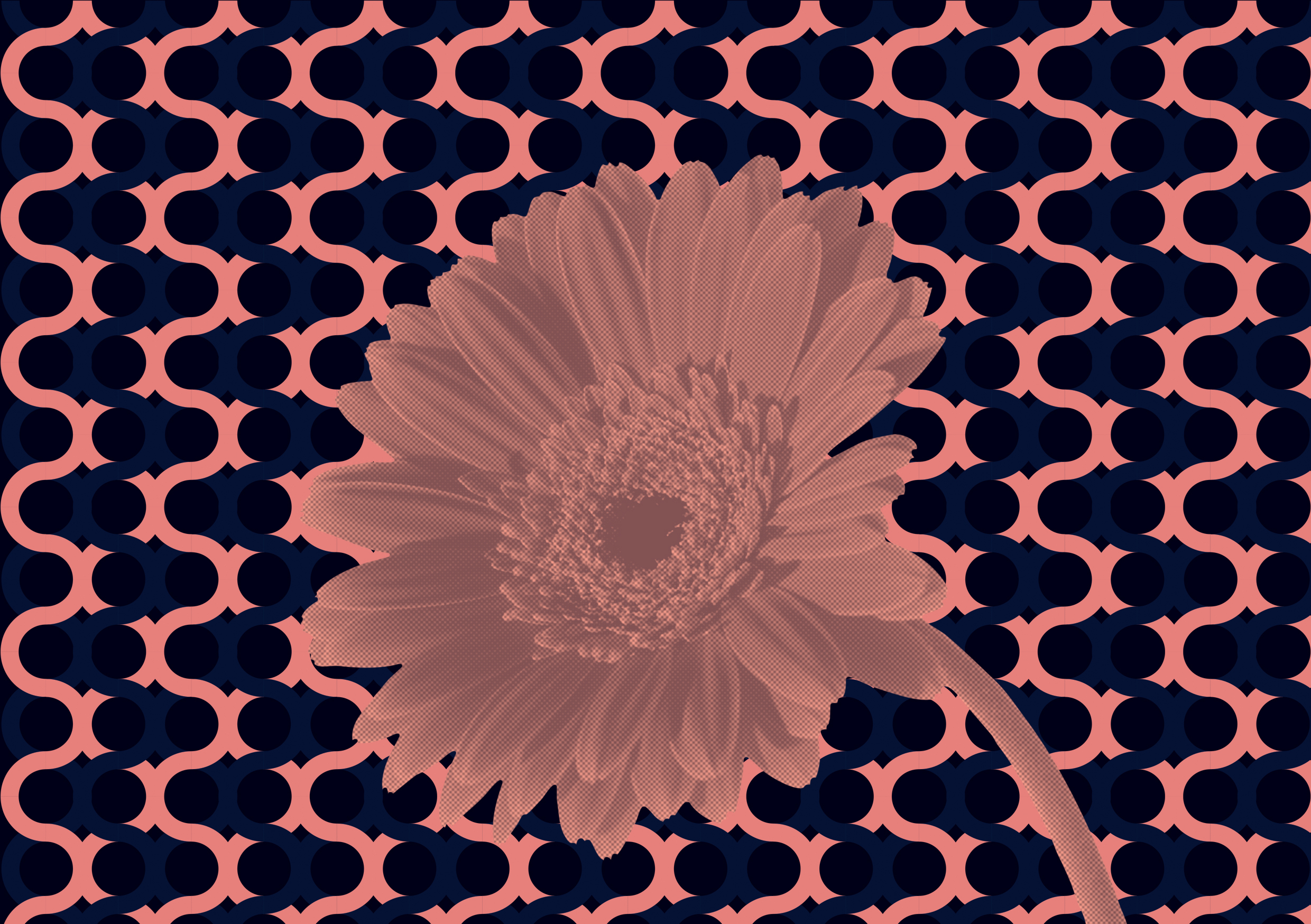 НОВА. Визуальная идентификация для арт-центра НОВА. — Изображение №11 — Брендинг, Графика на Dprofile