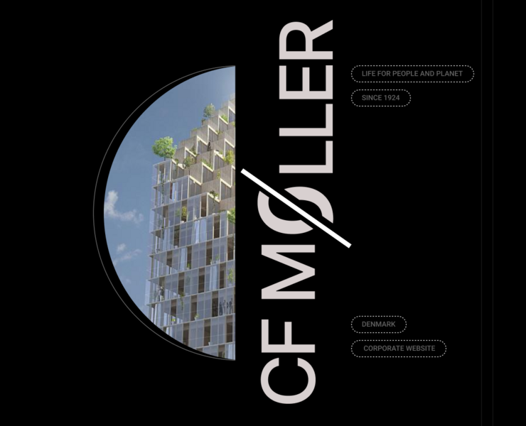 CF Møller — Интерфейсы на Dprofile