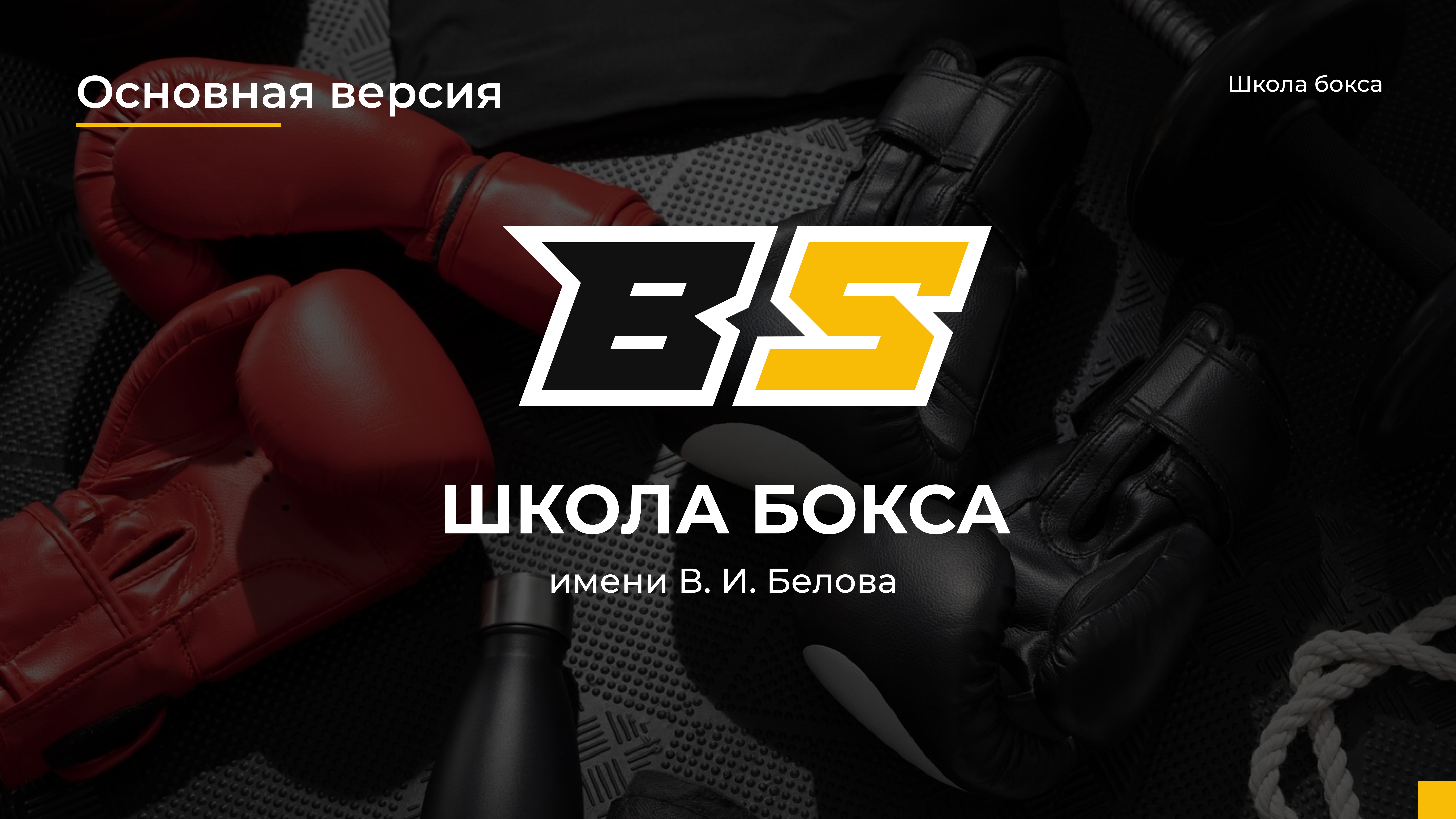 Школа бокса имени В.И. Белова — Изображение №12 — Брендинг на Dprofile