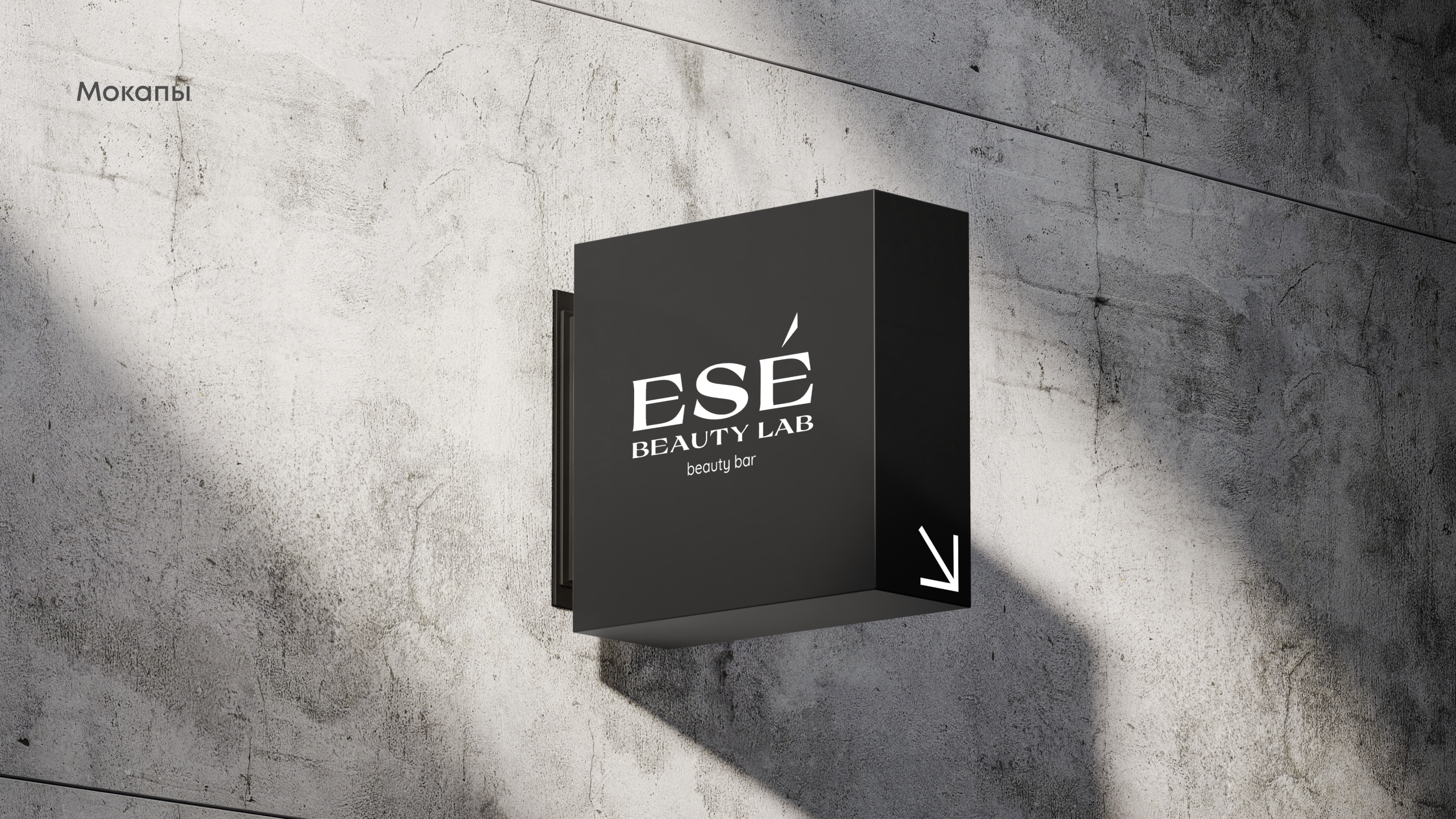 Logo for Ese beauty lab — Изображение №16 — Брендинг, Графика на Dprofile