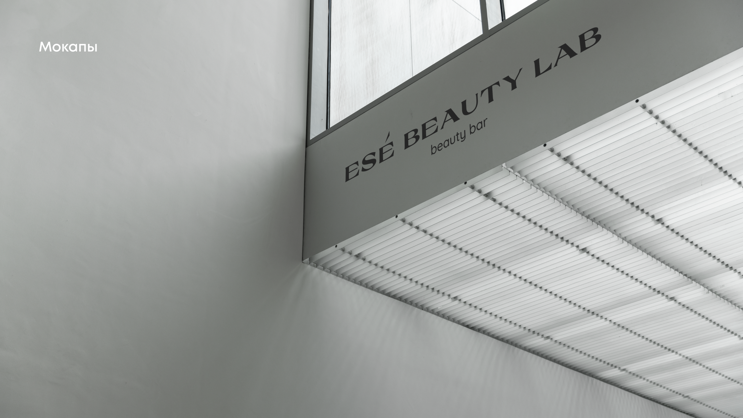 Logo for Ese beauty lab — Изображение №14 — Брендинг, Графика на Dprofile
