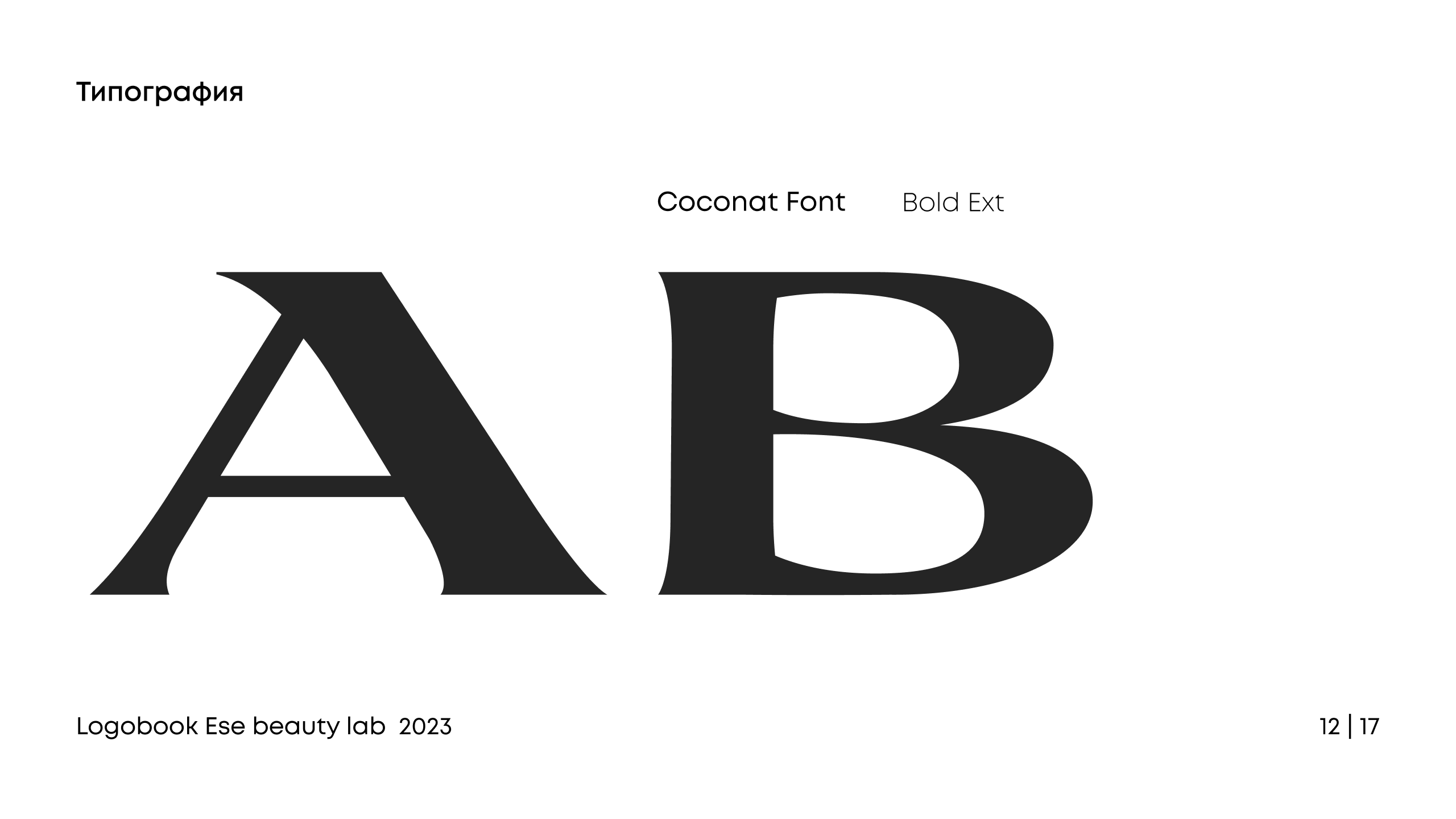 Logo for Ese beauty lab — Изображение №12 — Брендинг, Графика на Dprofile
