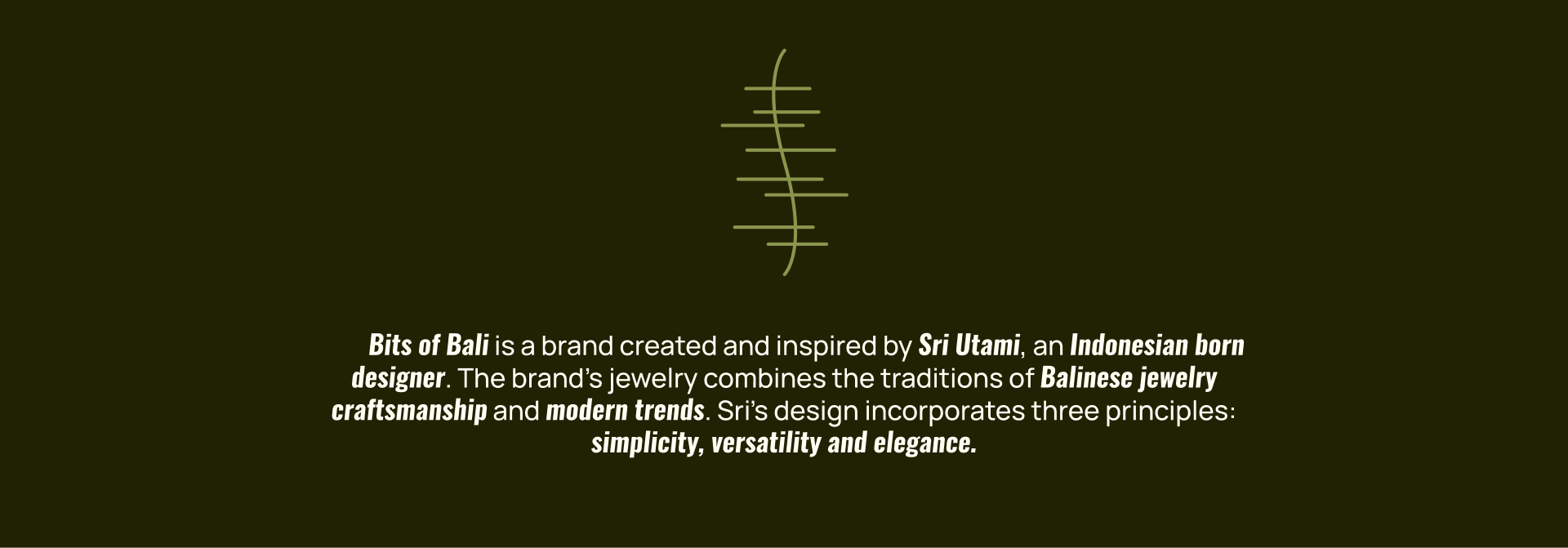 Bits of Bali | e-commerce website redesign — Изображение №2 — Интерфейсы, Брендинг на Dprofile