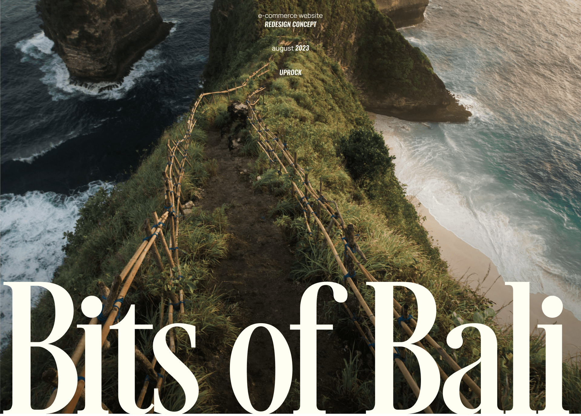 Bits of Bali | e-commerce website redesign — Изображение №1 — Интерфейсы, Брендинг на Dprofile