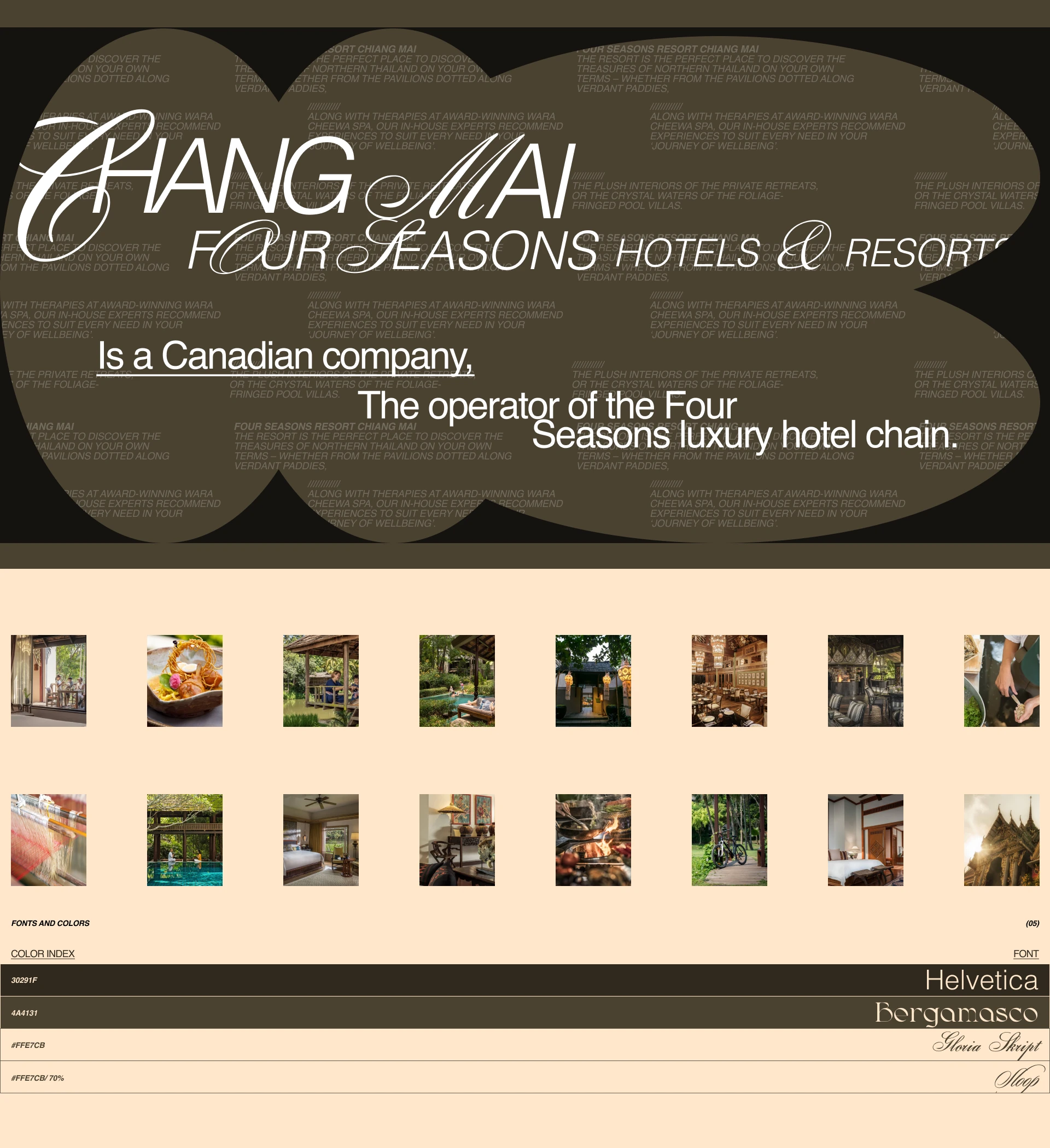 Four Seasons Resort Chiang Mai | Lending — Изображение №4 — Интерфейсы, Графика на Dprofile