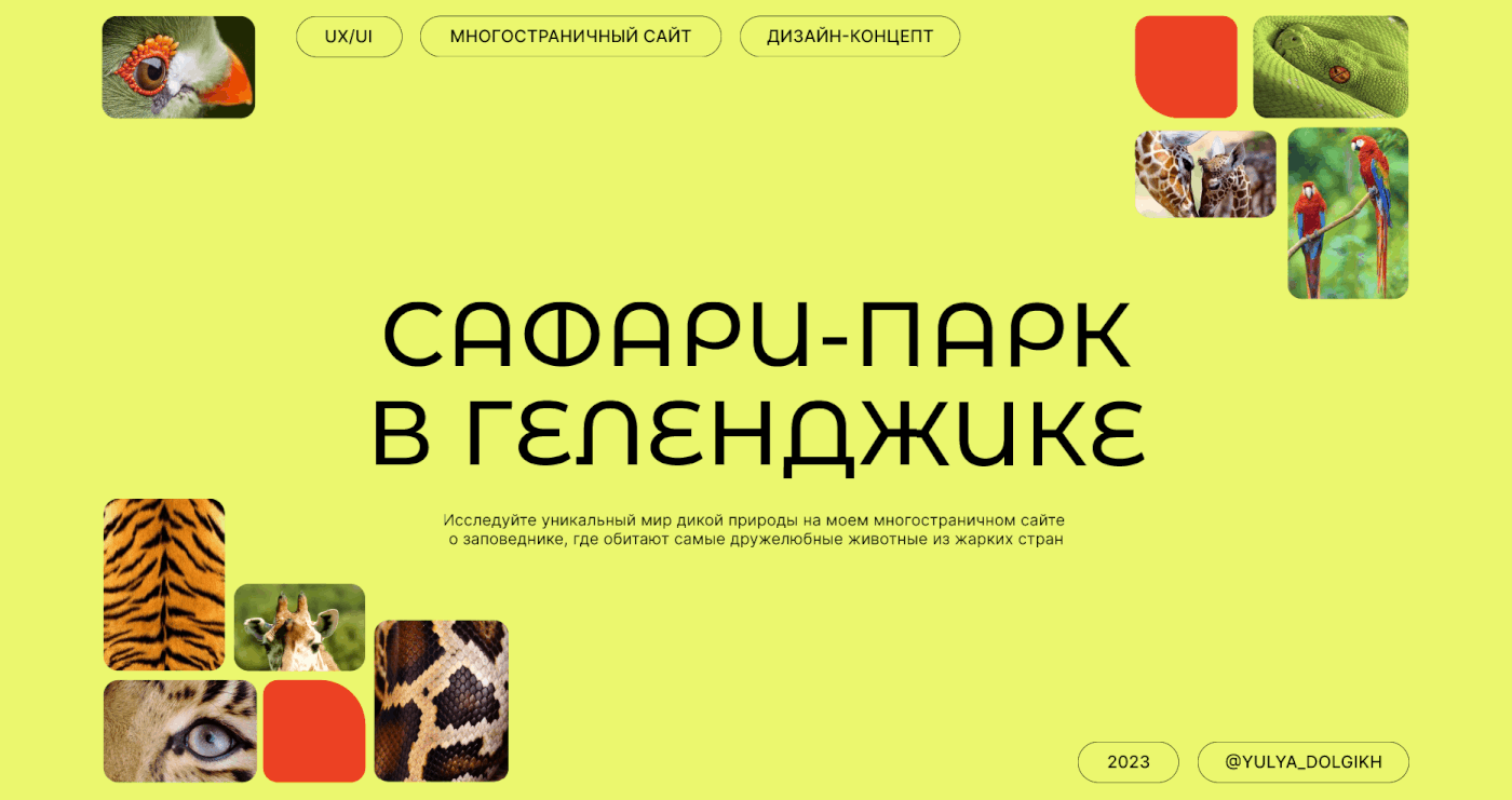 Website for Safari Park in Gelendzhik — Изображение №1 — Интерфейсы, Анимация на Dprofile