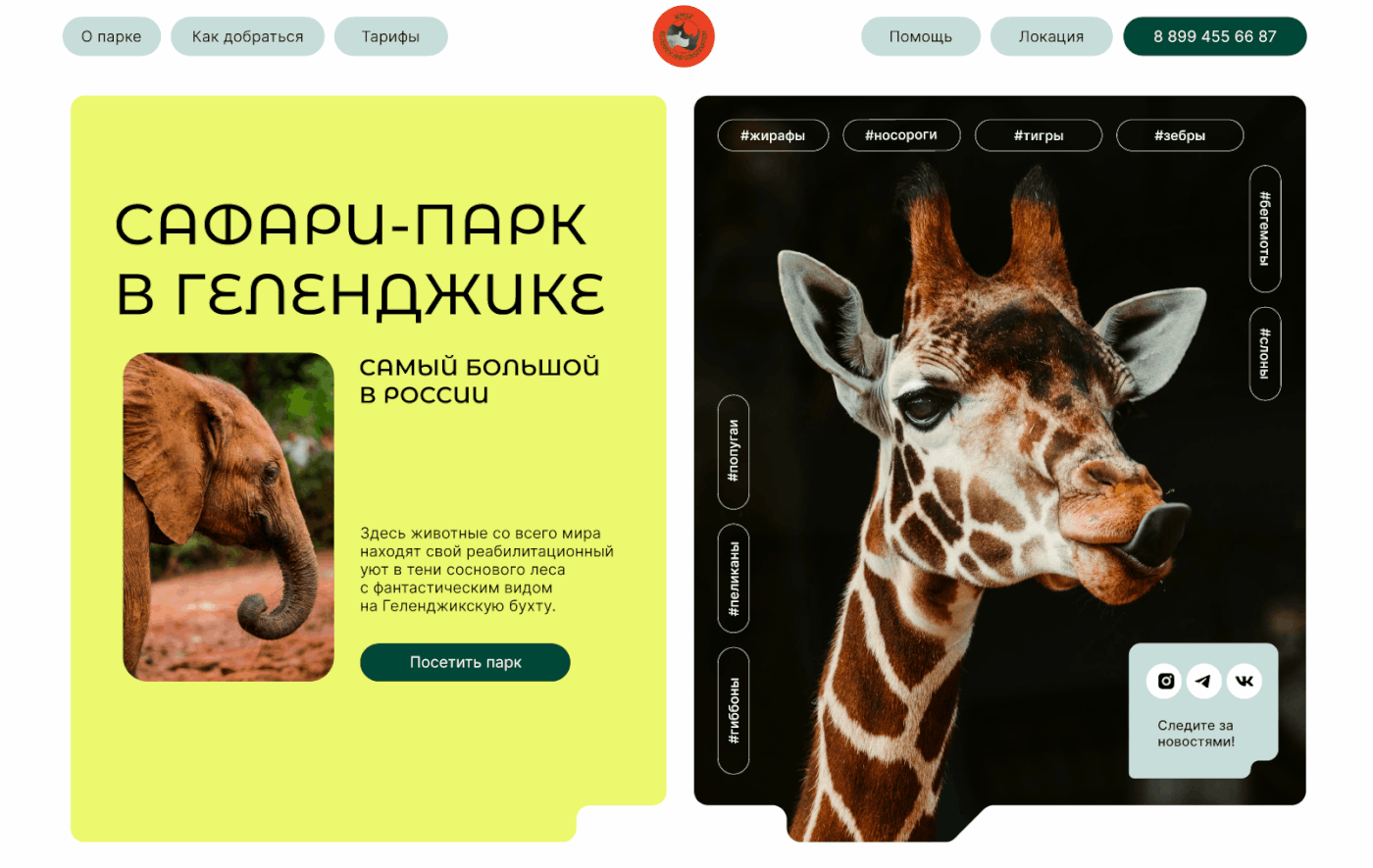 Website for Safari Park in Gelendzhik — Изображение №4 — Интерфейсы, Анимация на Dprofile