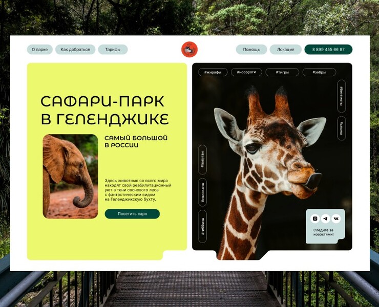Website for Safari Park in Gelendzhik — Интерфейсы, Анимация на Dprofile
