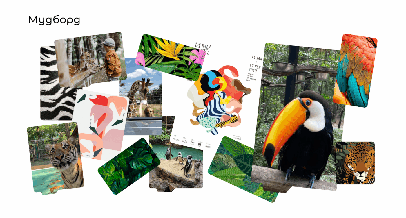 Website for Safari Park in Gelendzhik — Изображение №3 — Интерфейсы, Анимация на Dprofile