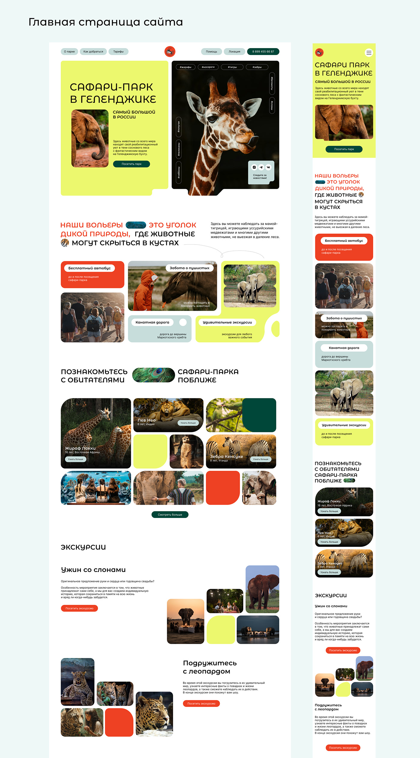 Website for Safari Park in Gelendzhik — Изображение №7 — Интерфейсы, Анимация на Dprofile