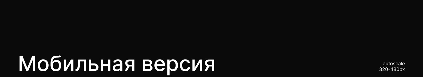 landing page for a basketball club — Изображение №4 — Интерфейсы, Анимация на Dprofile