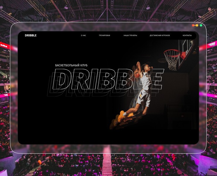 landing page for a basketball club — Интерфейсы, Анимация на Dprofile