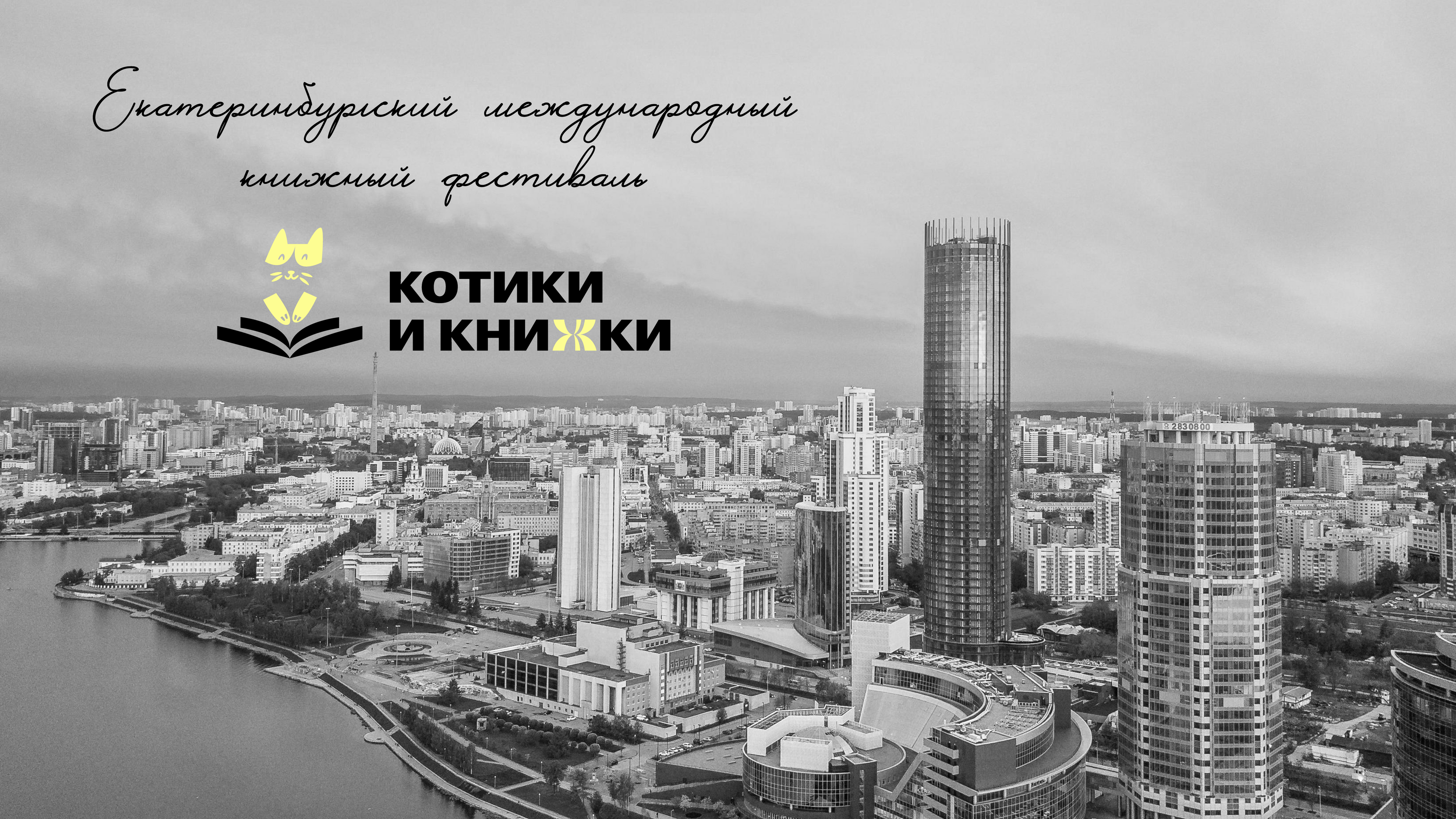 Фирменный стиль для книжного фестиваля "Котики и книжки" — Изображение №1 — Брендинг, Иллюстрация на Dprofile