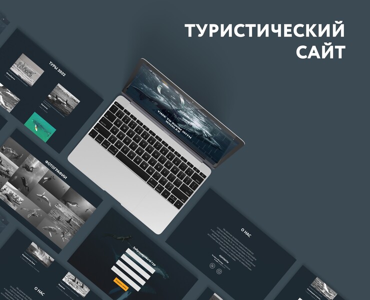 Веб-сайт для плавания с китами — Интерфейсы на Dprofile