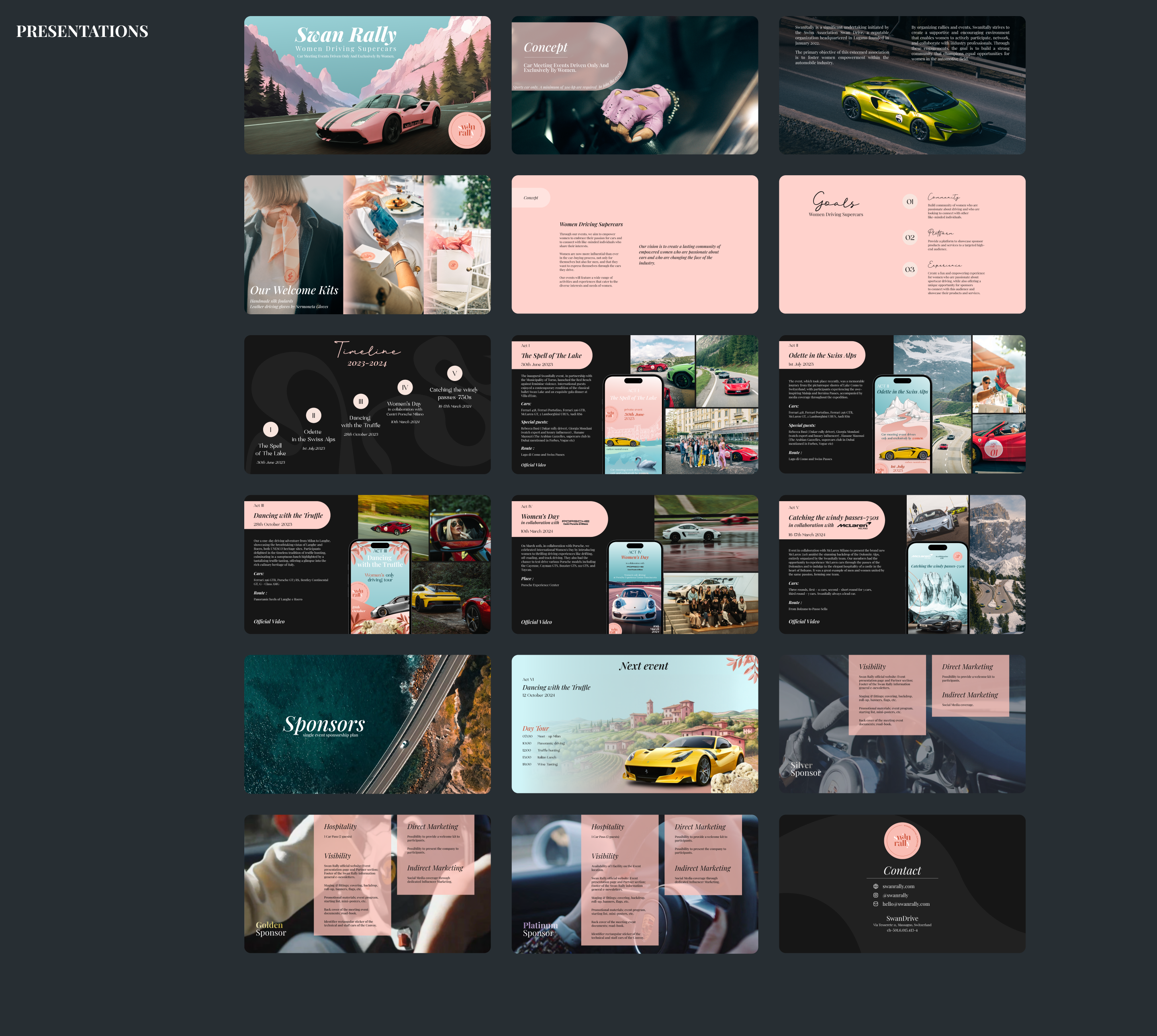 Communication design | Swan Rally — Изображение №7 — Графика, Анимация на Dprofile