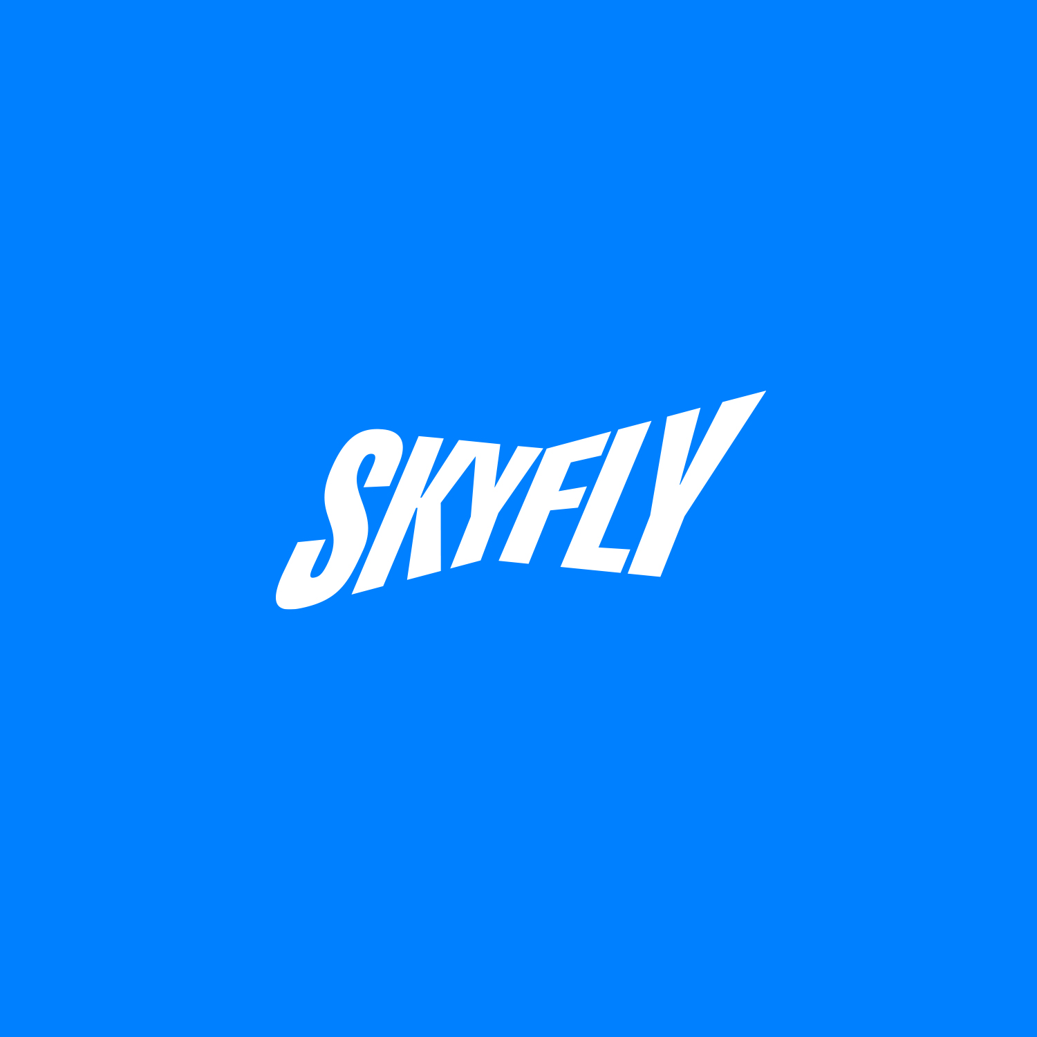 SkyFly — Изображение №2 — Брендинг на Dprofile