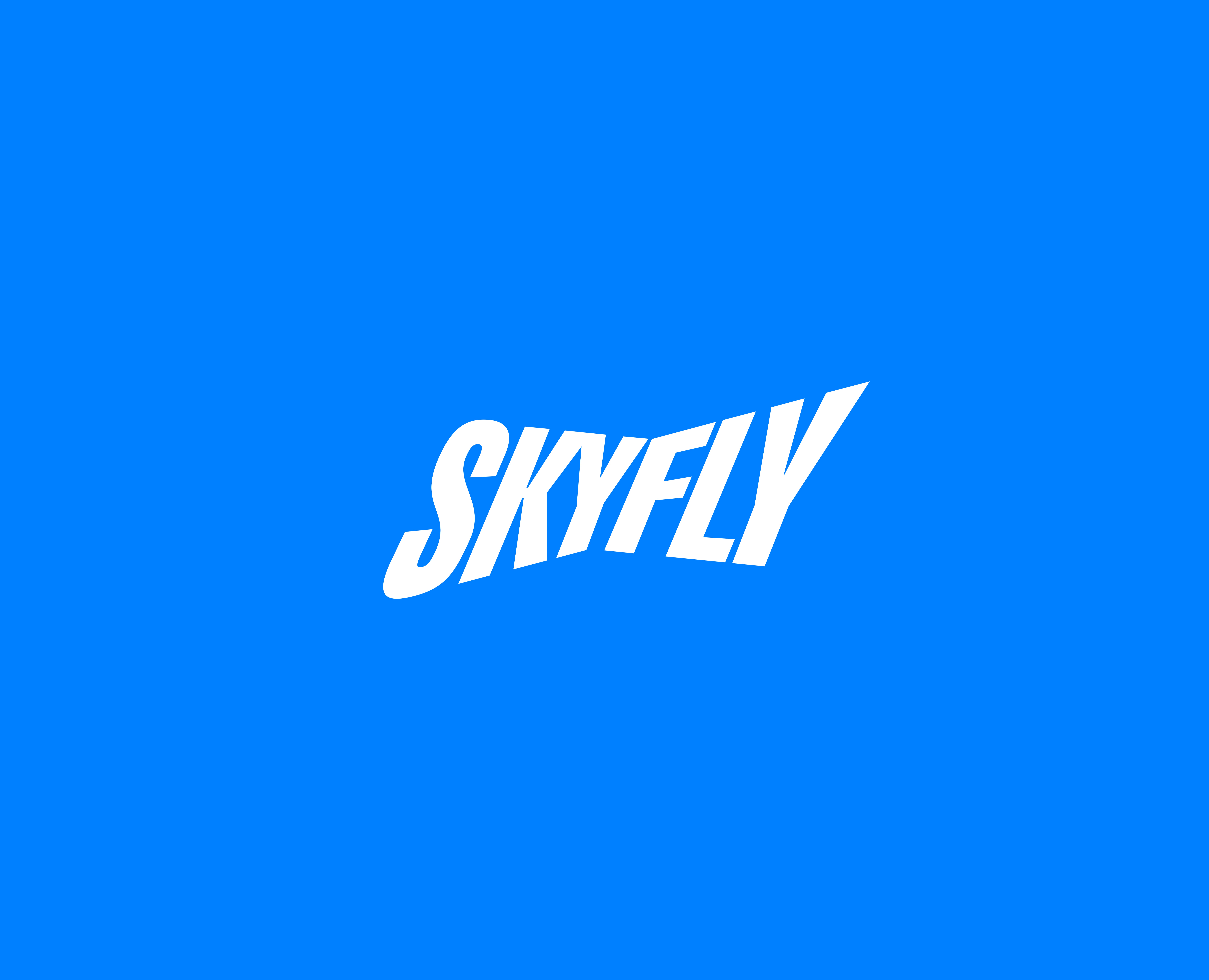 SkyFly — Брендинг на Dprofile