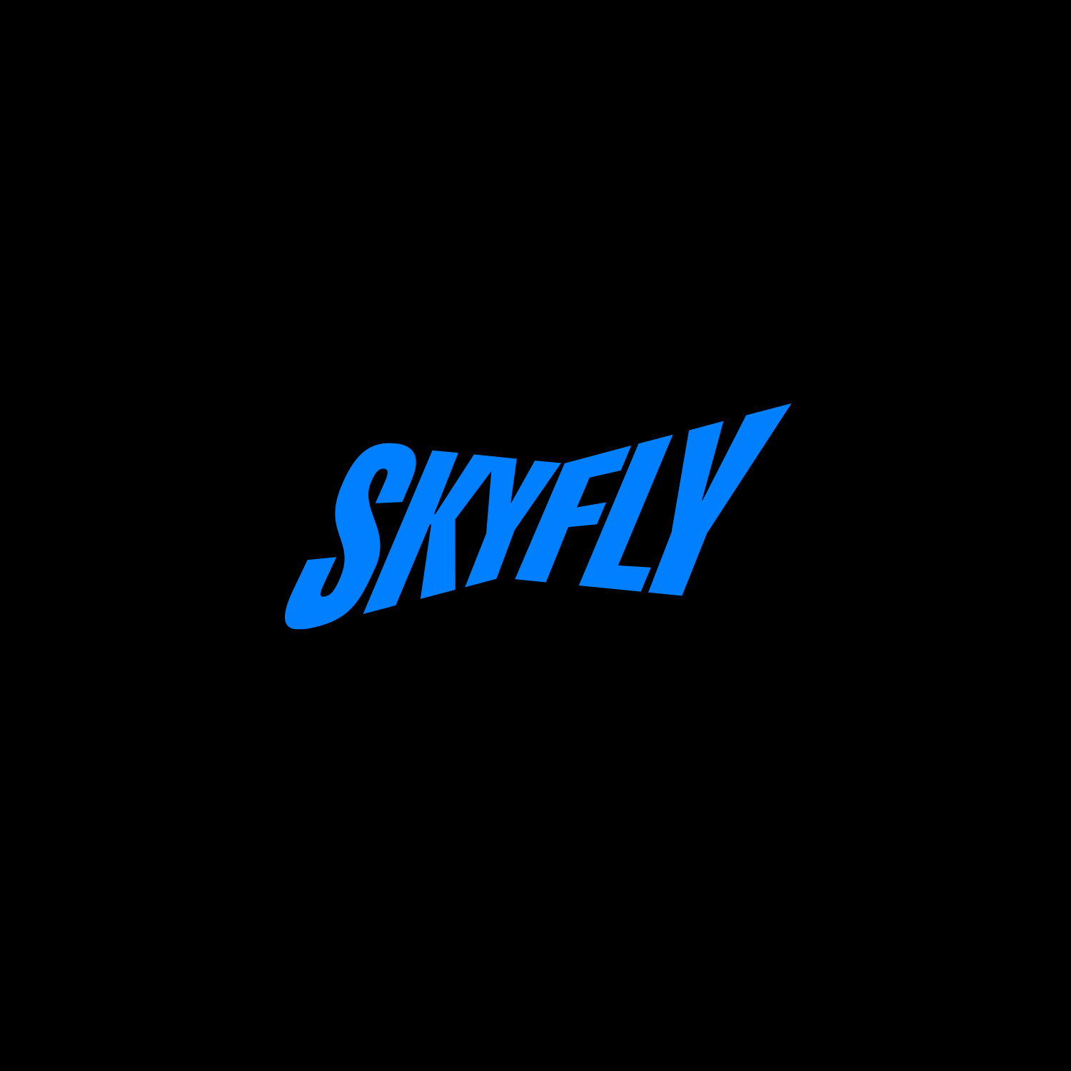 SkyFly — Изображение №1 — Брендинг на Dprofile