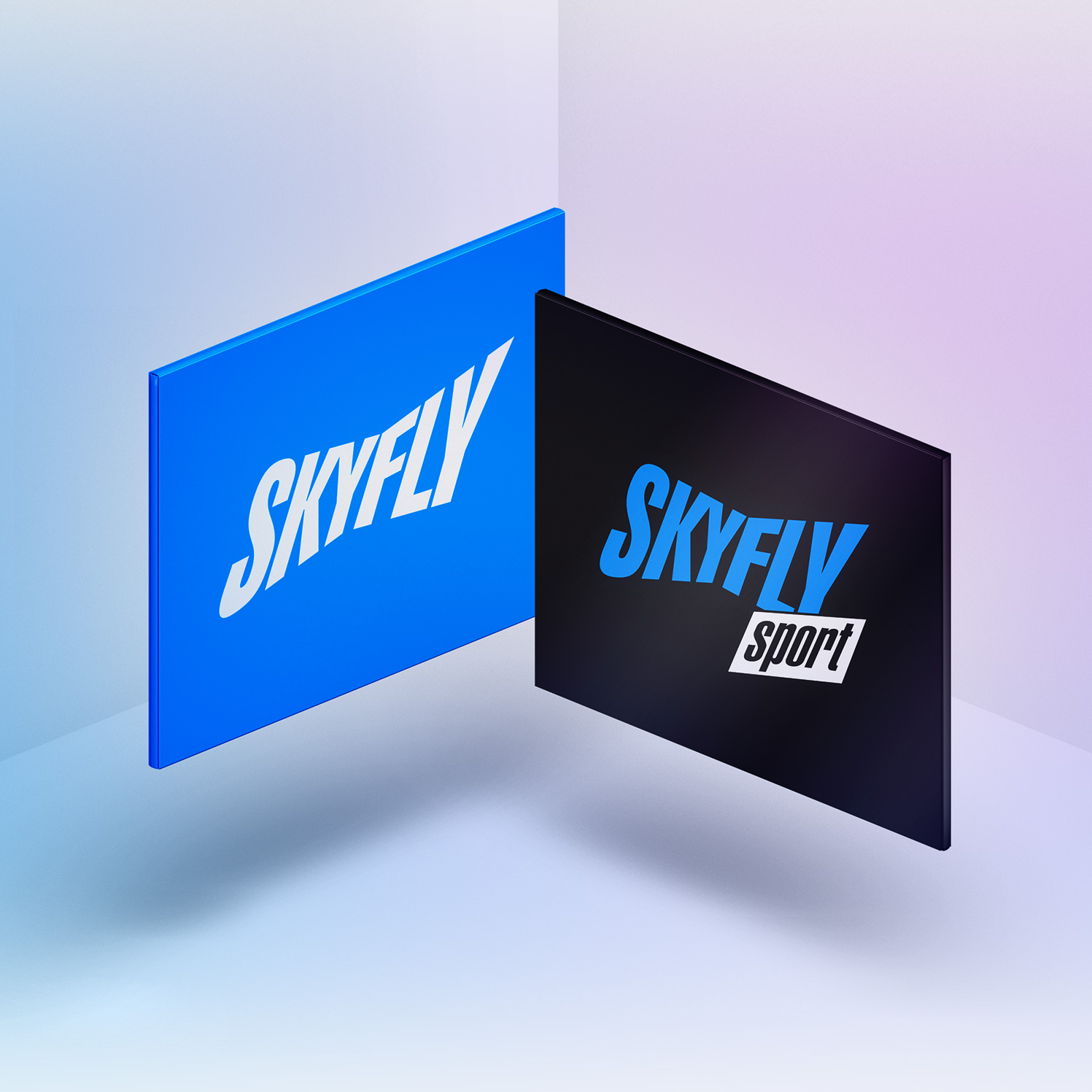 SkyFly — Изображение №18 — Брендинг на Dprofile